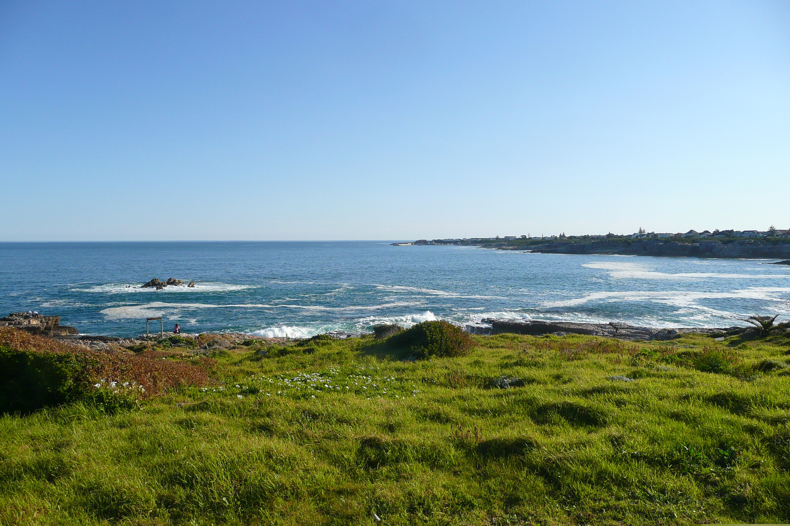 รูปถ่าย แอฟริกาใต้(South Africa) เฮอร์มานัส(Harmanus) 2008-09 78