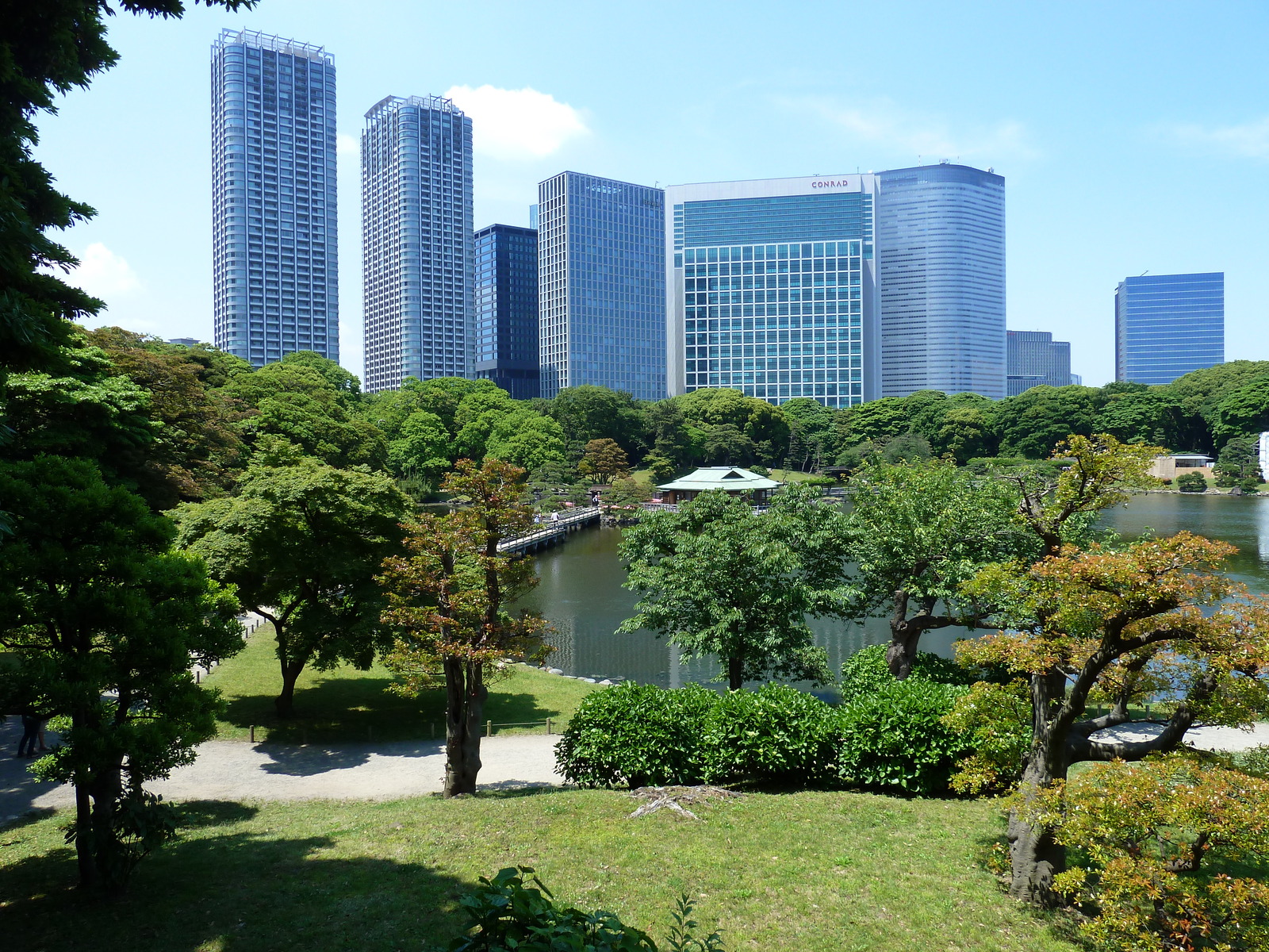 รูปถ่าย ญี่ปุ่น(Japan) โตเกียว(Tokyo) 2010-06 16