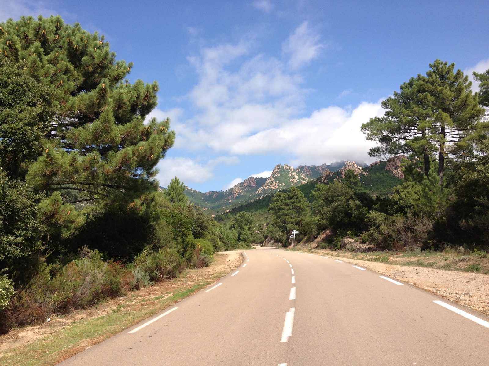รูปถ่าย ฝรั่งเศส(France) คอร์สิคา(Corsica) ป่าลอสเปดาเล(L'ospedale Forest) 2012-09 4