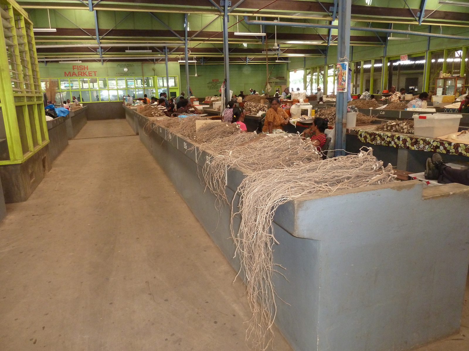 รูปถ่าย ฟิจิ(Fiji) นาดี(Nadi) 2010-05 86