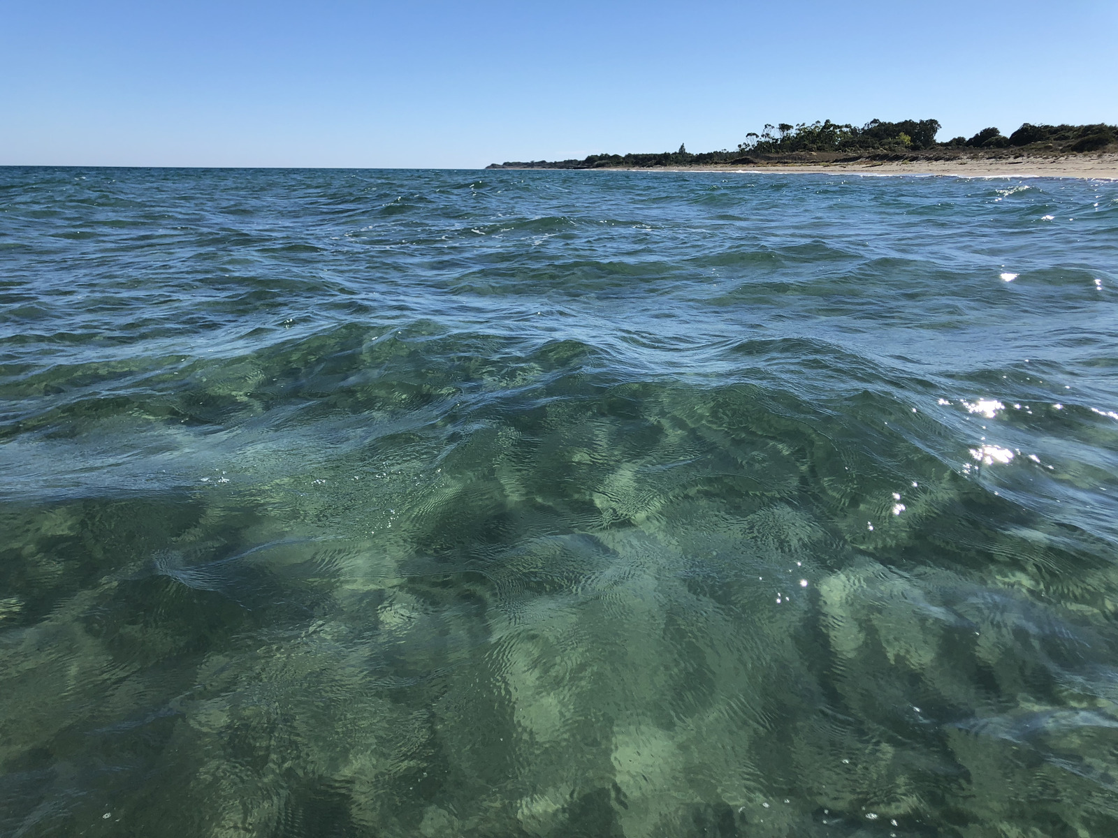 รูปถ่าย ฝรั่งเศส(France) คอร์สิคา(Corsica) ซานจูเลียโน(San Giuliano) 2018-09 29
