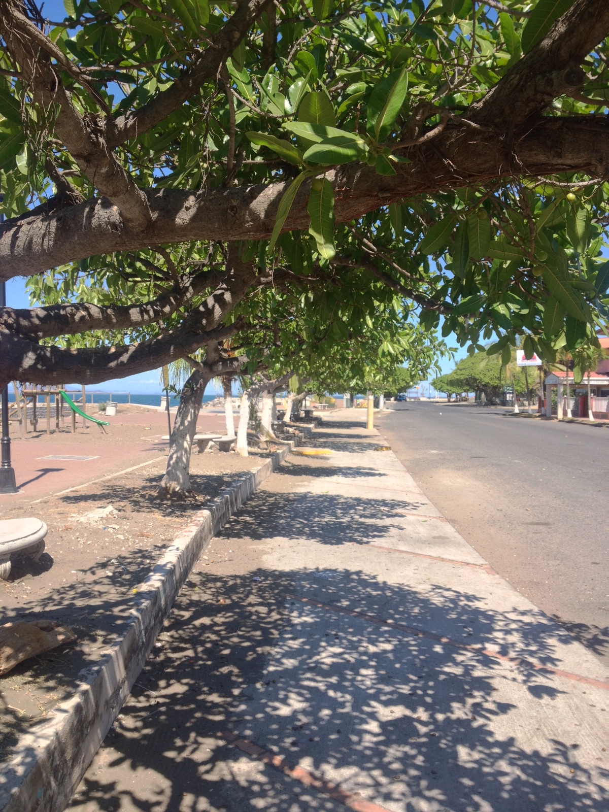 รูปถ่าย คอสตาริกา(Costa Rica) ปุนตาเรนัส(Puntarenas) 2015-03 30