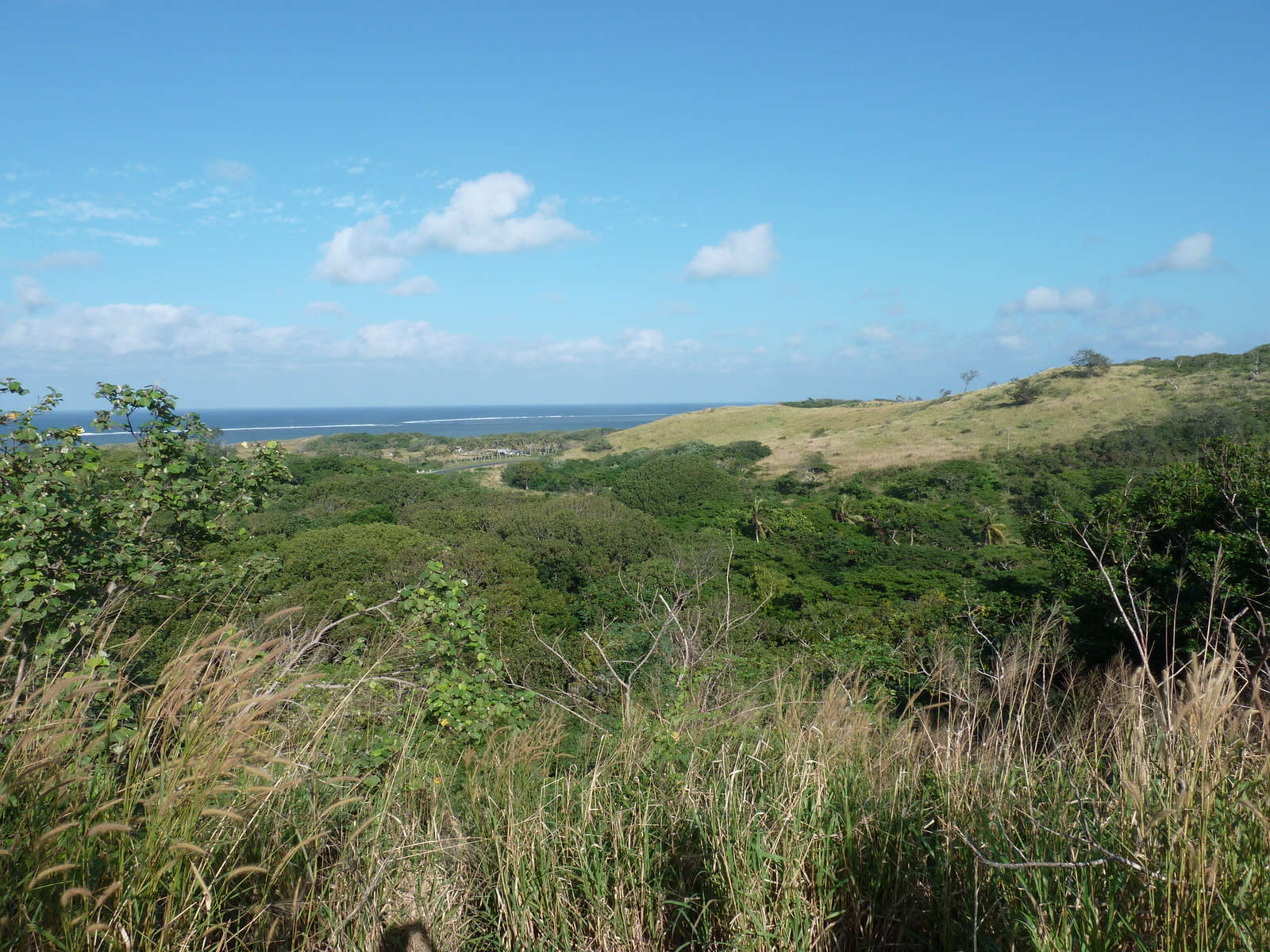 รูปถ่าย ฟิจิ(Fiji) อุทยานแห่งชาติเนินทรายซิงกาโตกา(Sigatoka sand dunes national park) 2010-05 33