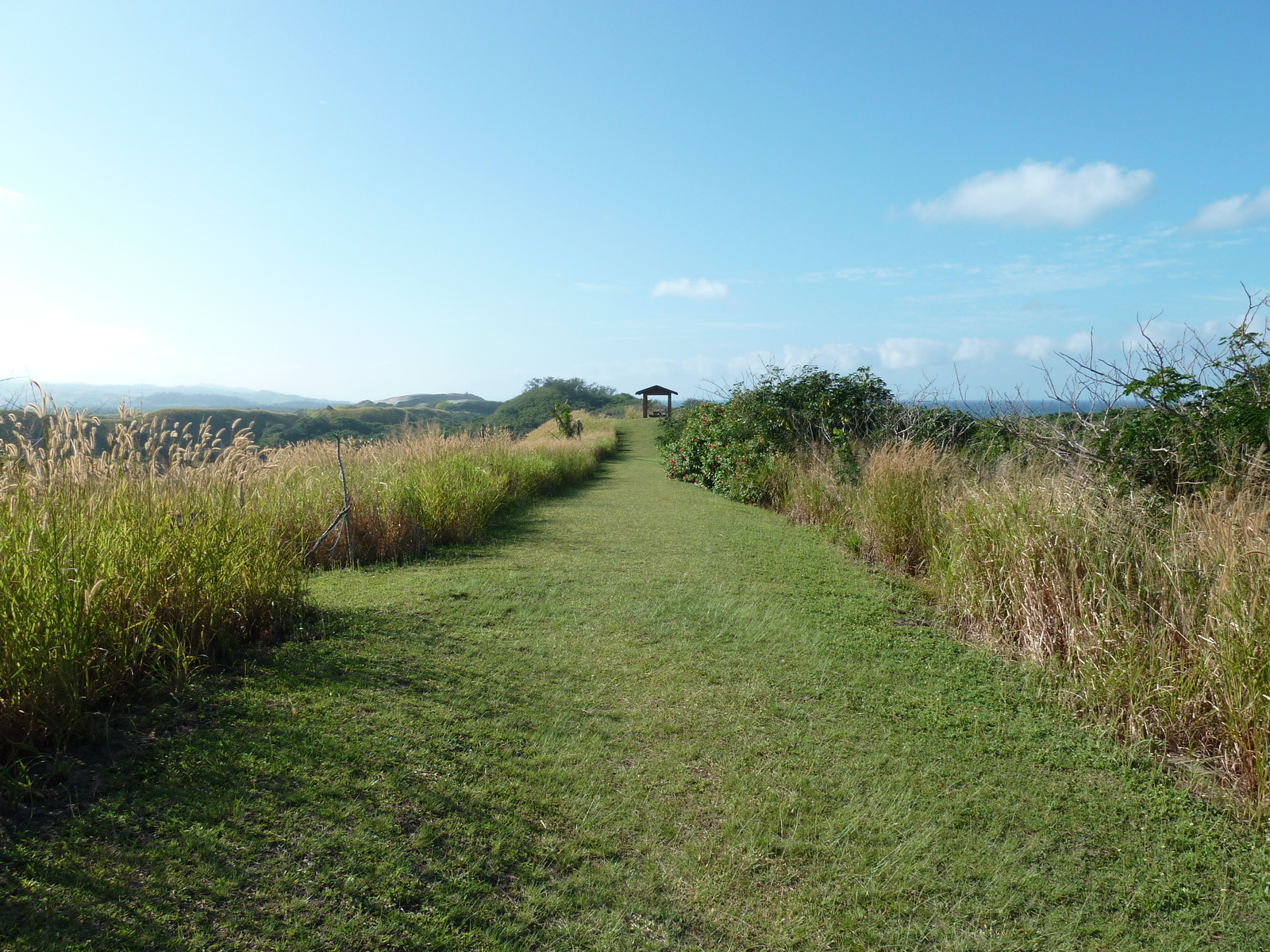 รูปถ่าย ฟิจิ(Fiji) อุทยานแห่งชาติเนินทรายซิงกาโตกา(Sigatoka sand dunes national park) 2010-05 39