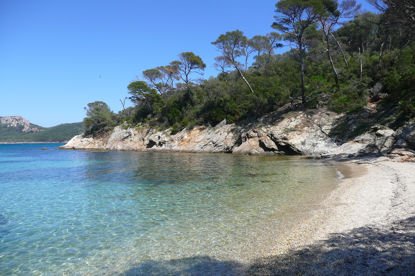 รูปถ่าย ฝรั่งเศส(France) เกาะปอร์เกอรอล(Porquerolles Island) หาดอาลีกัสตร์(Alycastre beach) 2008-05 21