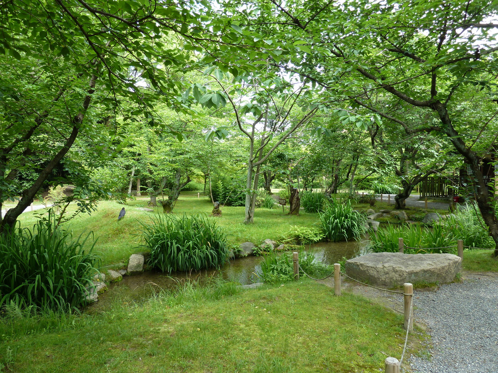 รูปถ่าย ญี่ปุ่น(Japan) เกียวโต(Kyoto) สวนโชเซเอ็ง(Shosei en Garden) 2010-06 22