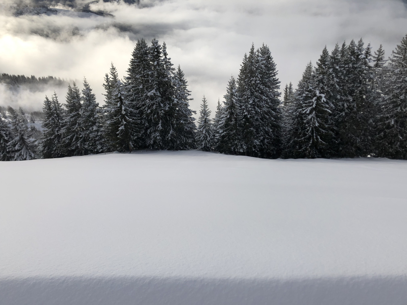 รูปถ่าย ฝรั่งเศส(France) ปรา-ซูร์-อาร์ลี(Praz sur Arly) 2019-12 190