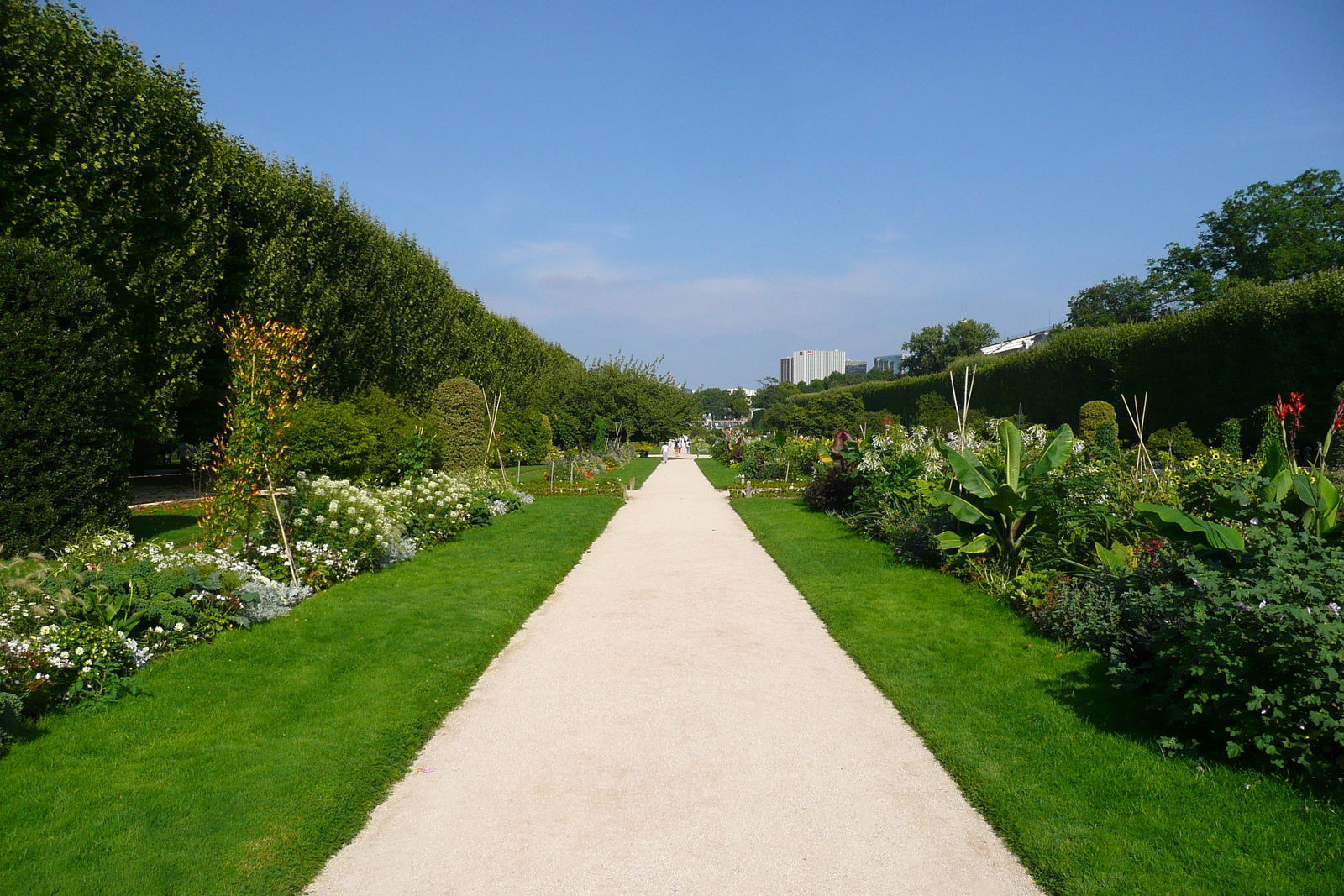รูปถ่าย ฝรั่งเศส(France) ปารีส(Paris) สวนพันธ์ุพืช(Jardin des Plantes) 2007-08 206