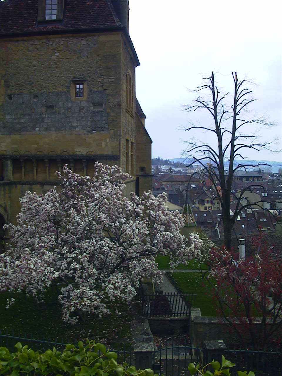 รูปถ่าย สวิสเซอร์แลนด์(Switzerland) เนอชาเตล(Neuchatel) 1999-04 1