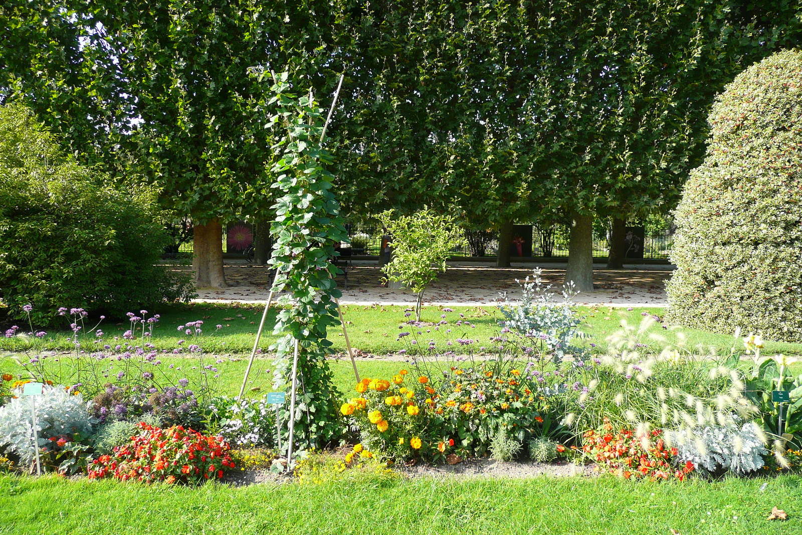 รูปถ่าย ฝรั่งเศส(France) ปารีส(Paris) สวนพันธ์ุพืช(Jardin des Plantes) 2007-08 175
