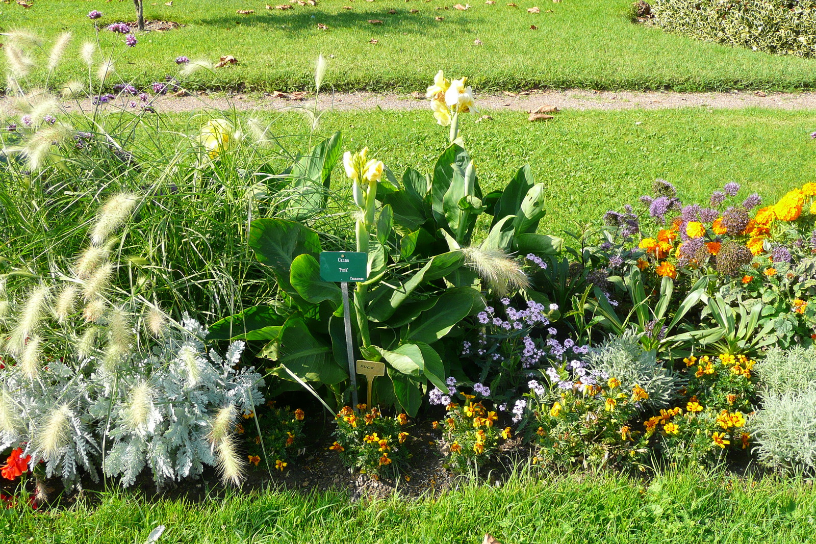 รูปถ่าย ฝรั่งเศส(France) ปารีส(Paris) สวนพันธ์ุพืช(Jardin des Plantes) 2007-08 39