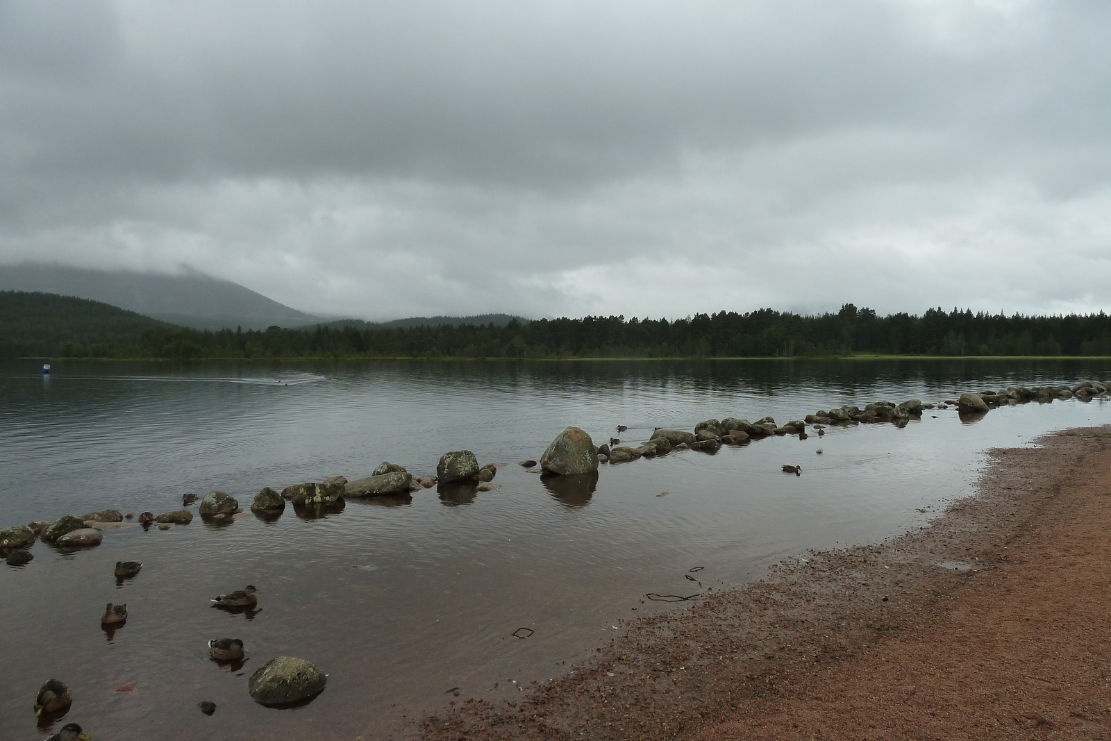รูปถ่าย อังกฤษ(United Kingdom) สกอตแลนด์(Scotland) ถนนจากฟอร์เรสไปเอวีมอร์(Forres to Aviemore road) 2011-07 19