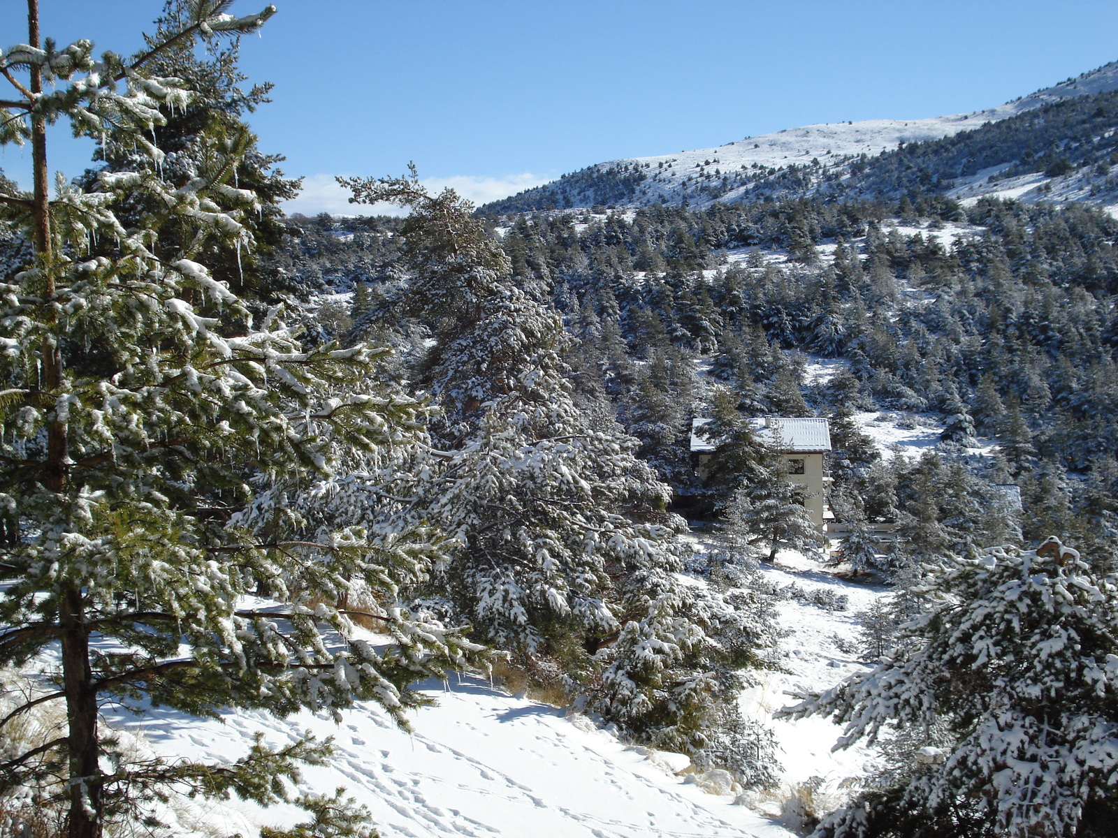 รูปถ่าย ฝรั่งเศส(France) เกรโอลีแยร(Greolieres les neiges) 2007-01 31