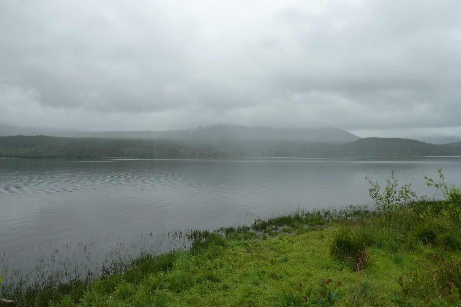 รูปถ่าย อังกฤษ(United Kingdom) สกอตแลนด์(Scotland) 2011-07 124
