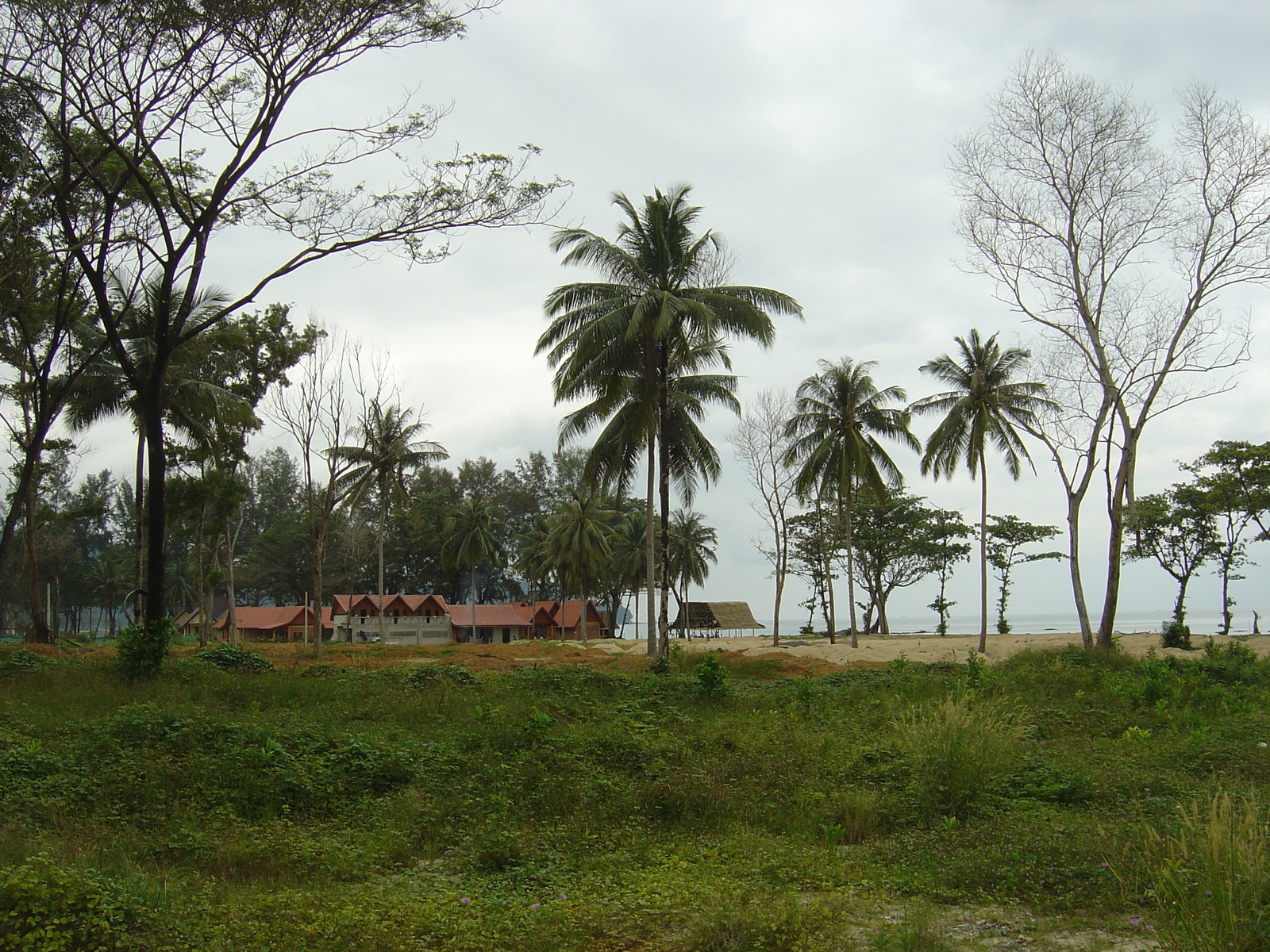 รูปถ่าย ไทย(Thailand) เขาหลัก(Khao Lak) 2005-12 10