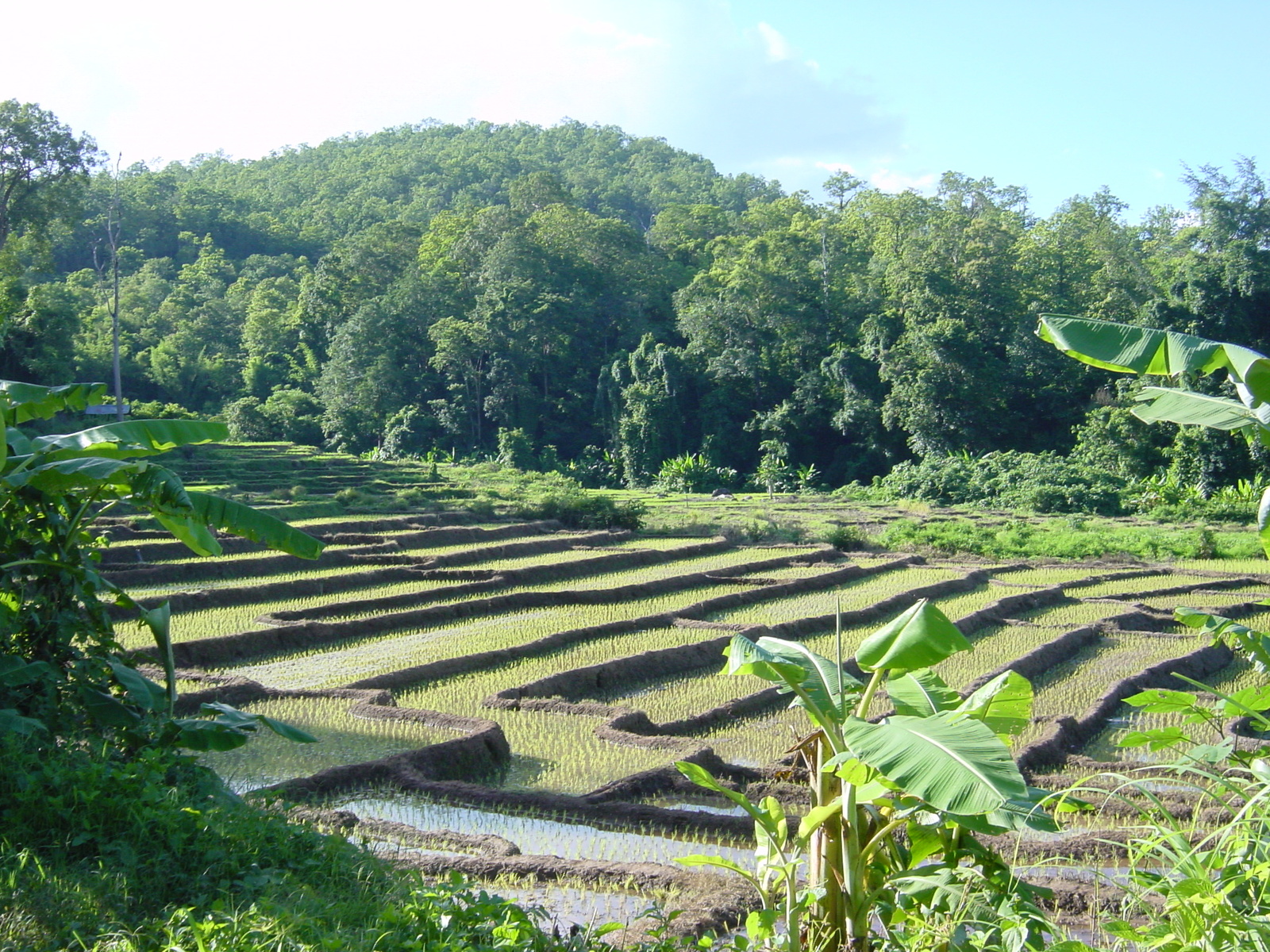 รูปถ่าย ไทย(Thailand) แม่ฮ่องสอน(Mae Hong Son) 2003-07 56