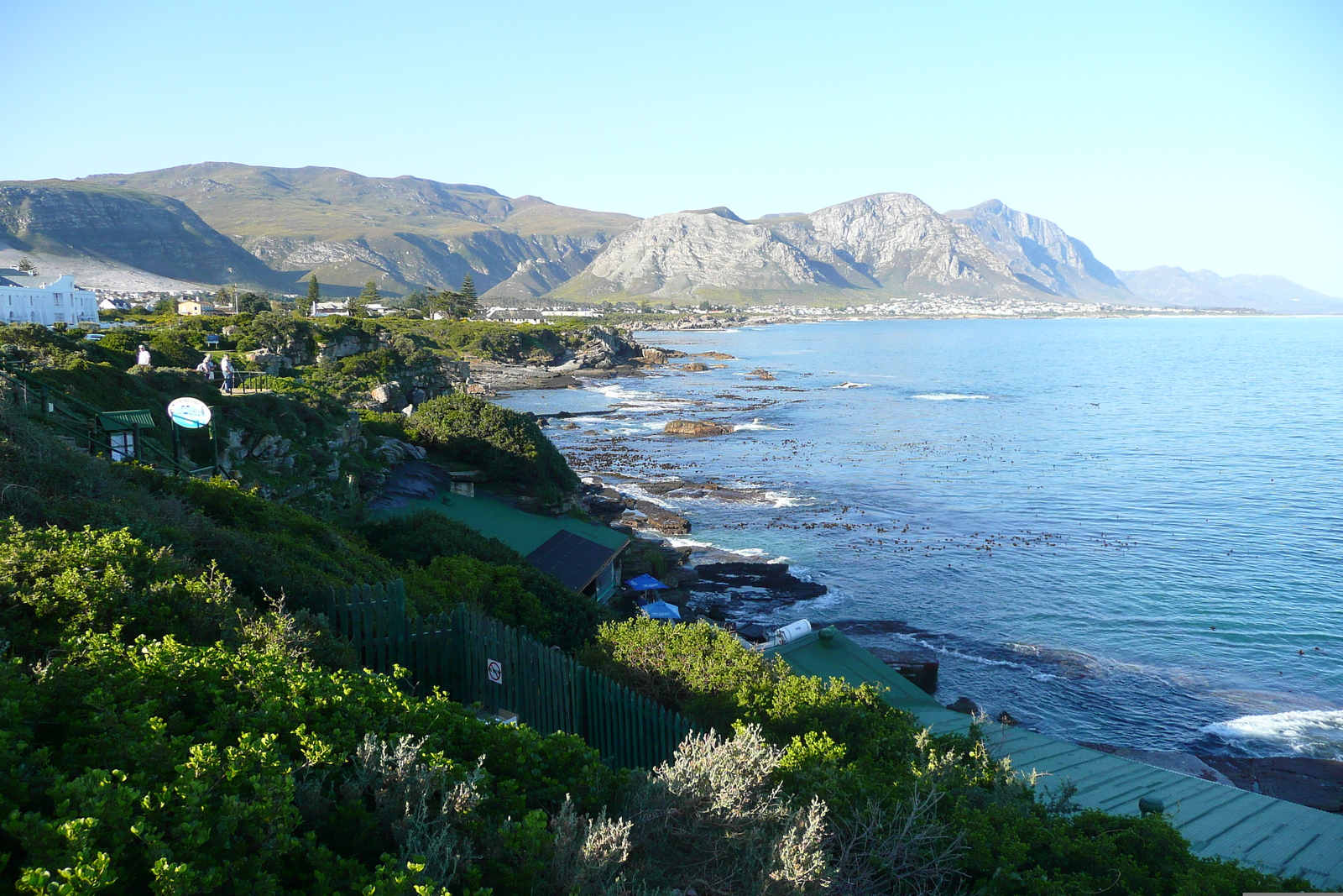 รูปถ่าย แอฟริกาใต้(South Africa) เฮอร์มานัส(Harmanus) 2008-09 118