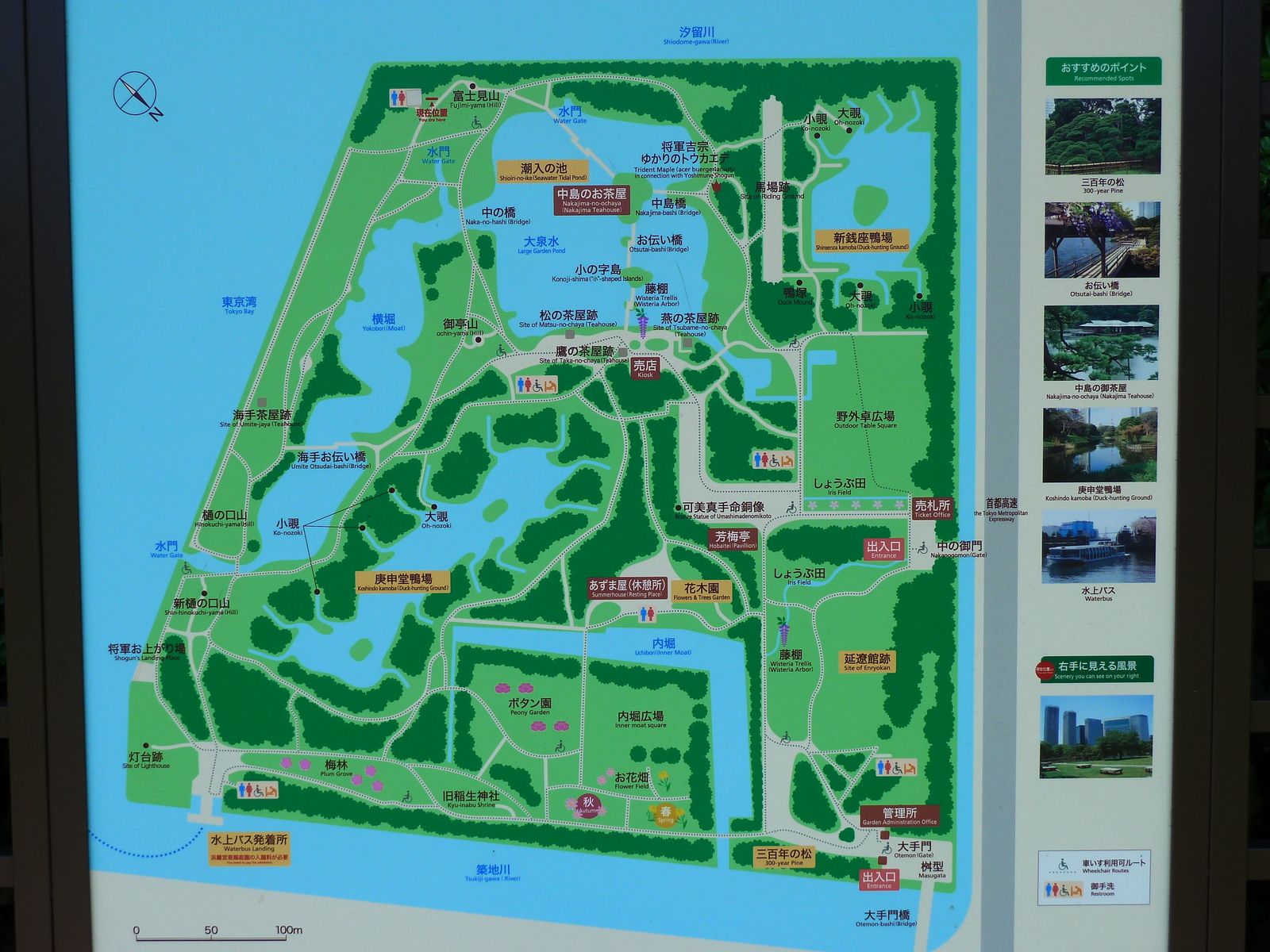 รูปถ่าย ญี่ปุ่น(Japan) โตเกียว(Tokyo) สวนฮามะริคิว(Hama rikyu Gardens) 2010-06 35