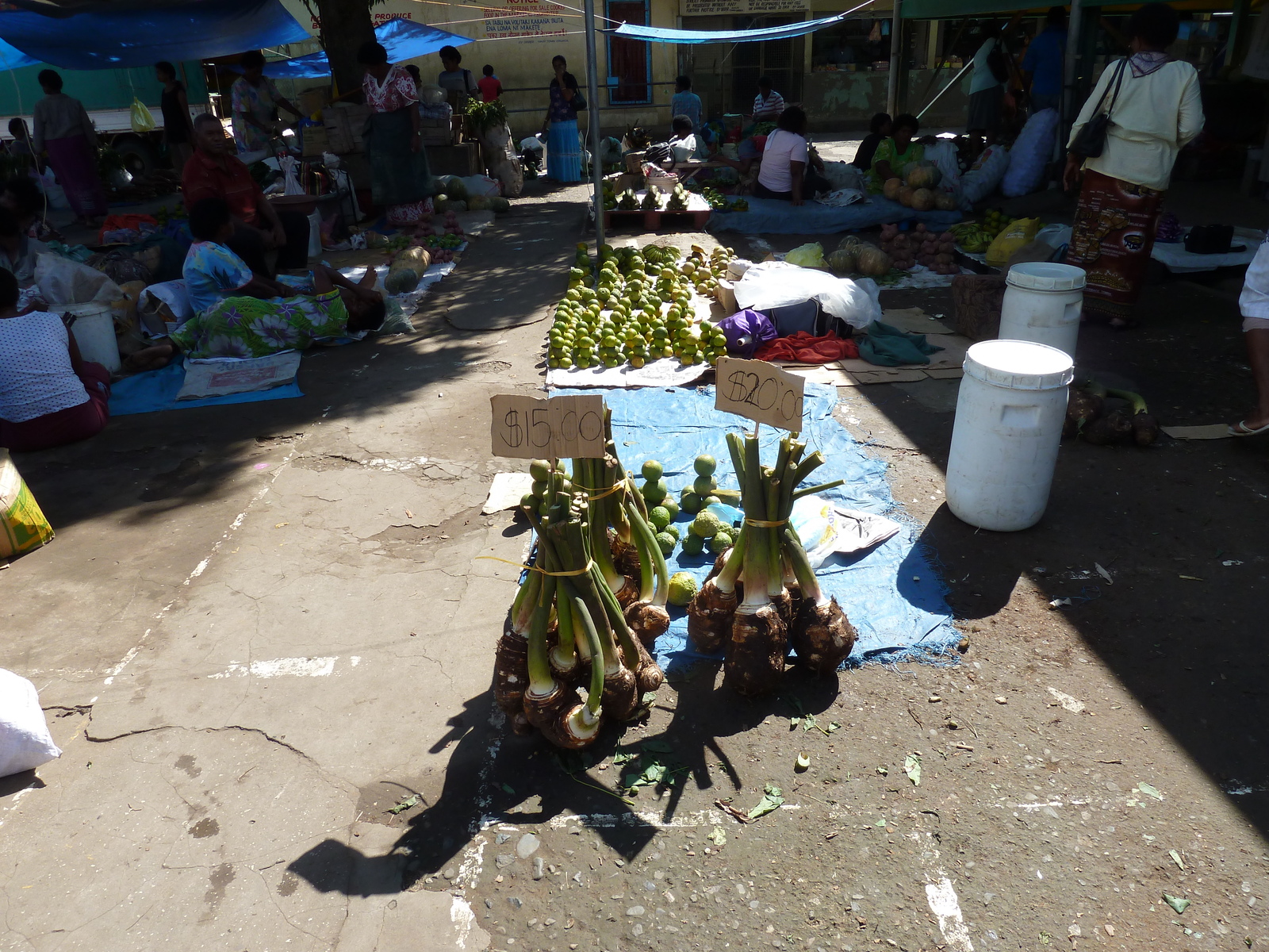 รูปถ่าย ฟิจิ(Fiji) นาดี(Nadi) 2010-05 77