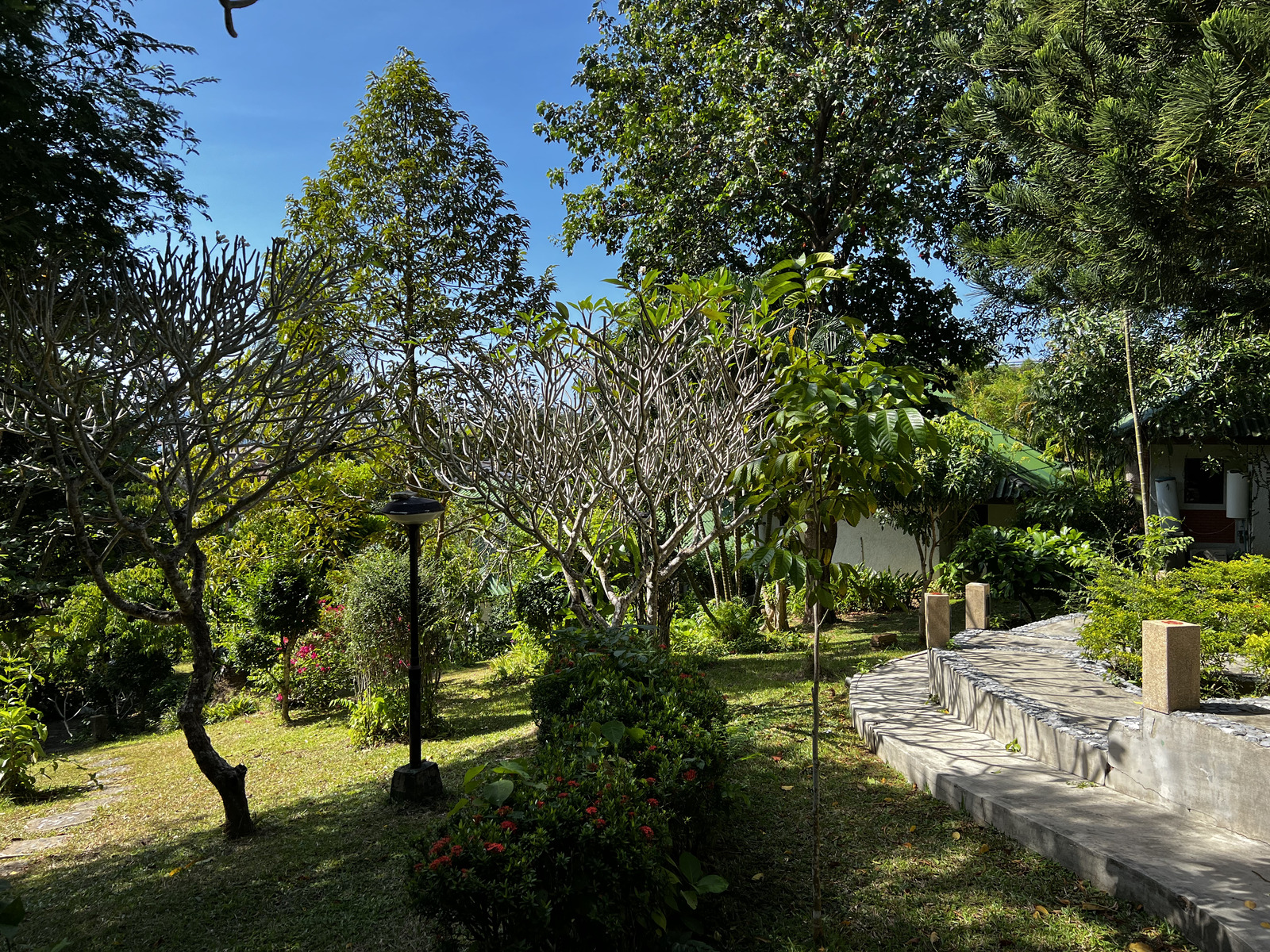 รูปถ่าย ไทย(Thailand) ภูเก็ต(Phuket) หาดกะตะ(Kata Beach) กะตะการ์เด้นรีสอร์ต(Kata Garden Resort) 2021-12 9