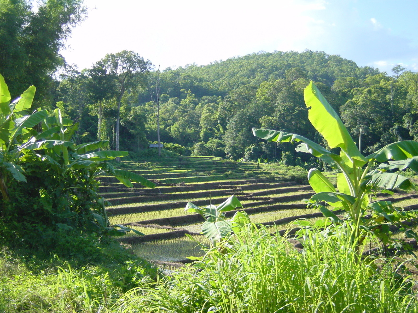รูปถ่าย ไทย(Thailand) แม่ฮ่องสอน(Mae Hong Son) 2003-07 35