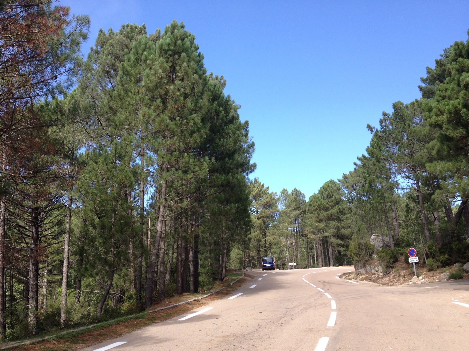 รูปถ่าย ฝรั่งเศส(France) คอร์สิคา(Corsica) ป่าลอสเปดาเล(L'ospedale Forest) 2012-09 22