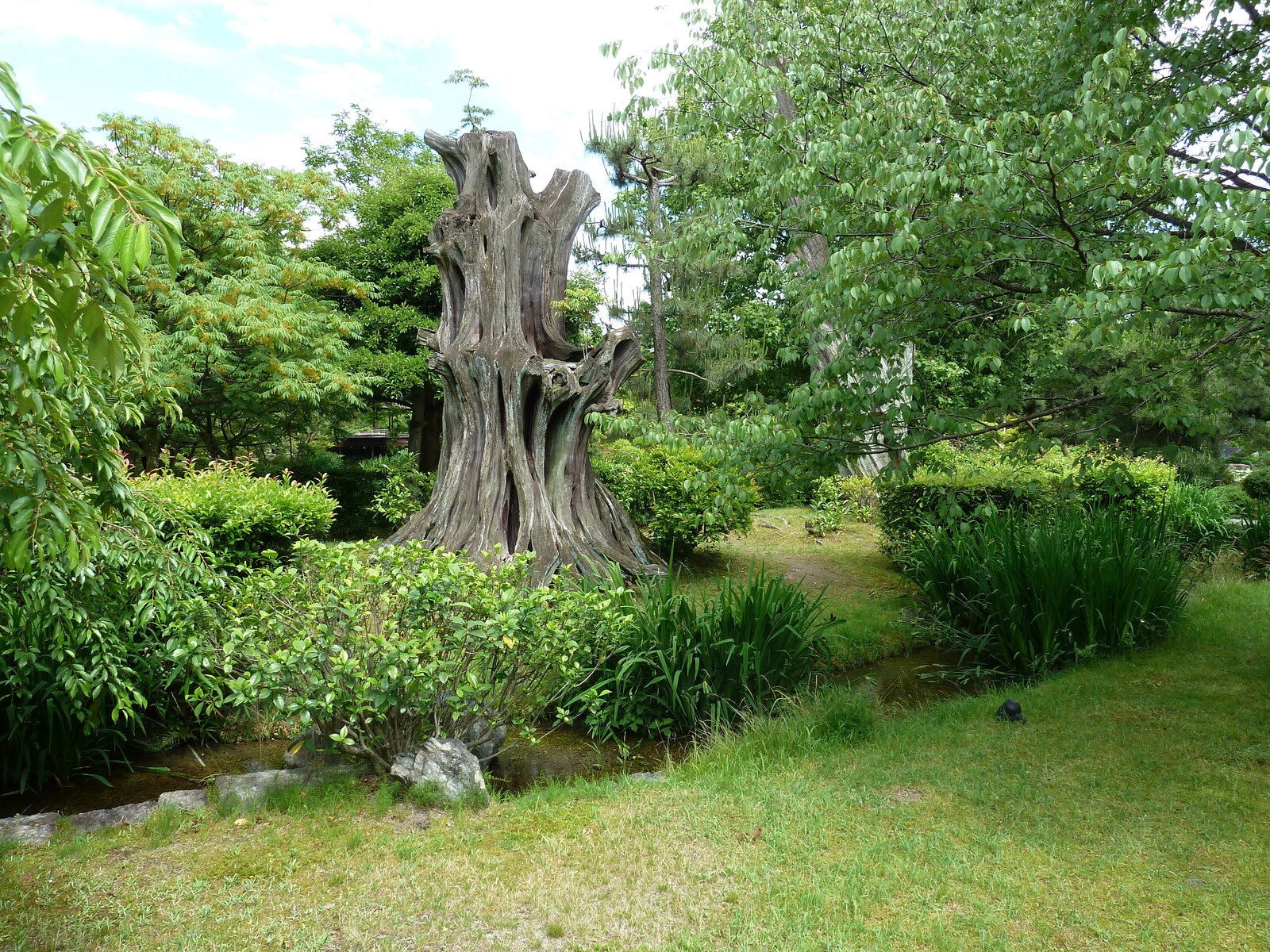 รูปถ่าย ญี่ปุ่น(Japan) เกียวโต(Kyoto) สวนโชเซเอ็ง(Shosei en Garden) 2010-06 1