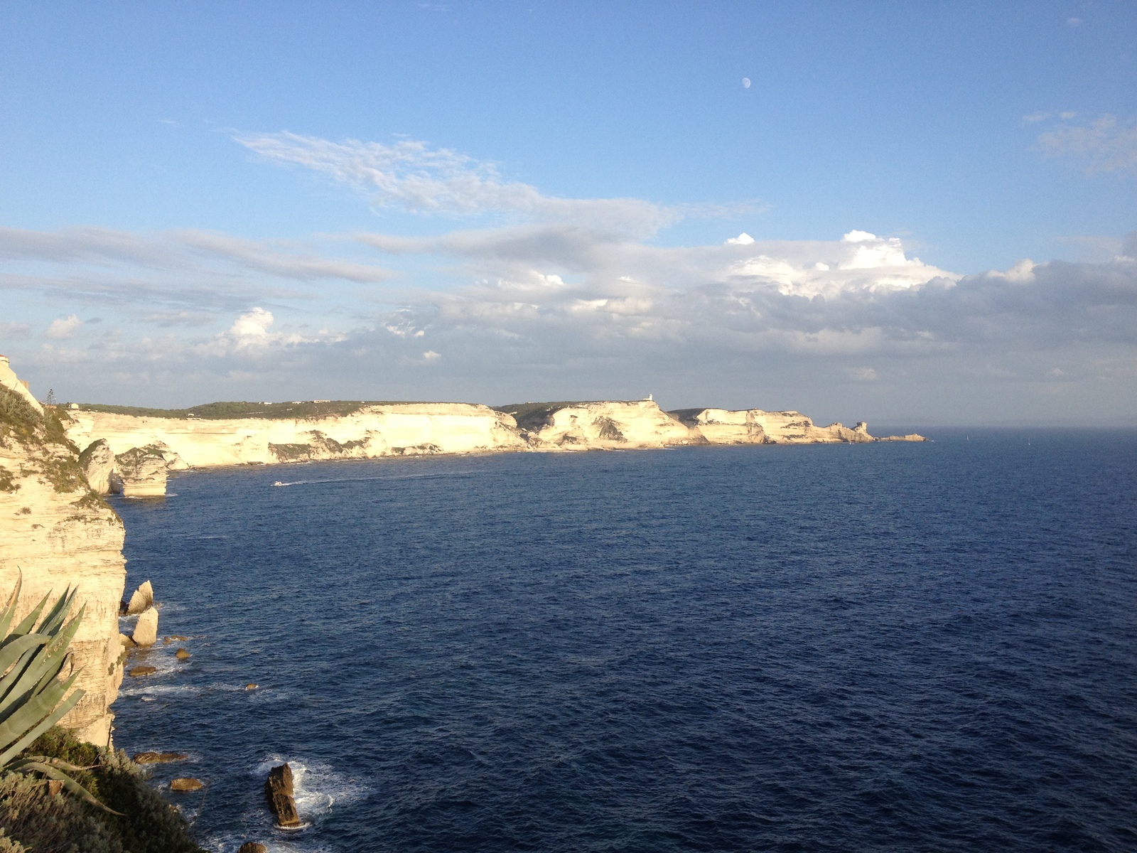 รูปถ่าย ฝรั่งเศส(France) คอร์สิคา(Corsica) โบนีฟาซีโอ(Bonifacio) 2012-09 98