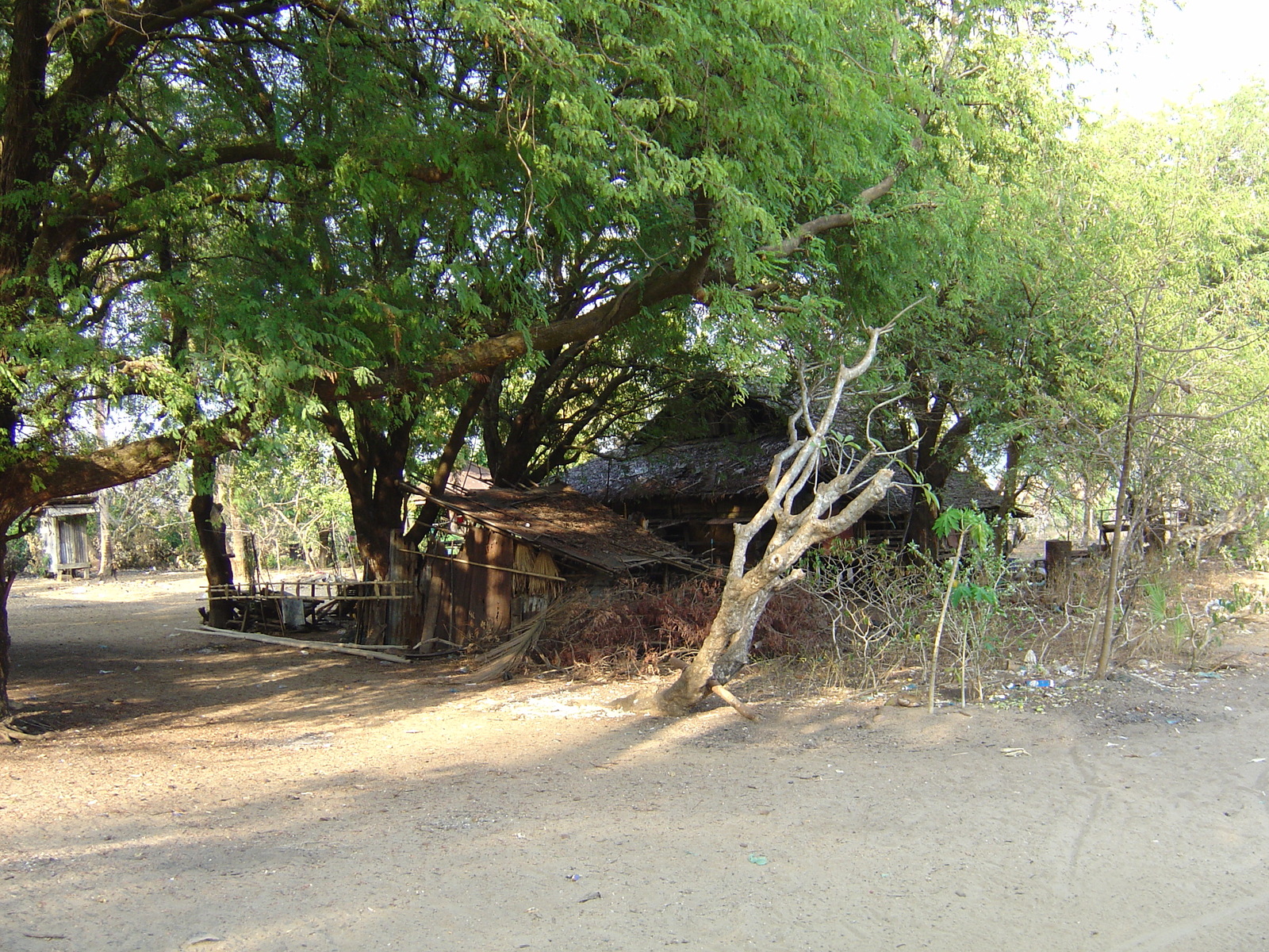 รูปถ่าย พม่า(Myanmar) หาดหม่องมะกัน(Maungmagan beach) 2005-01 65
