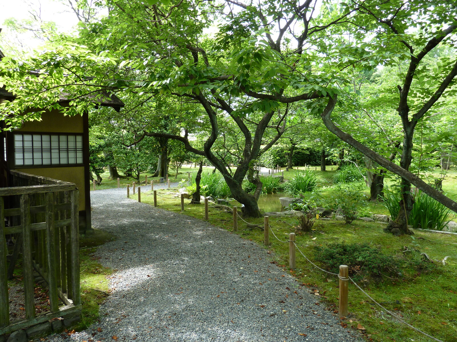 รูปถ่าย ญี่ปุ่น(Japan) เกียวโต(Kyoto) สวนโชเซเอ็ง(Shosei en Garden) 2010-06 7