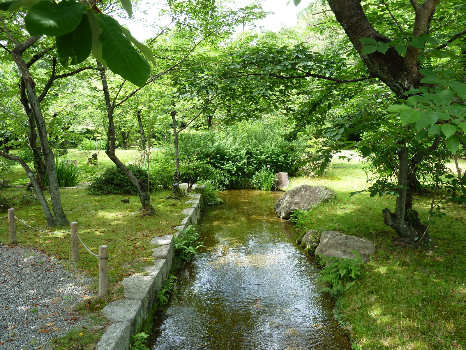 รูปถ่าย ญี่ปุ่น(Japan) เกียวโต(Kyoto) สวนโชเซเอ็ง(Shosei en Garden) 2010-06 13