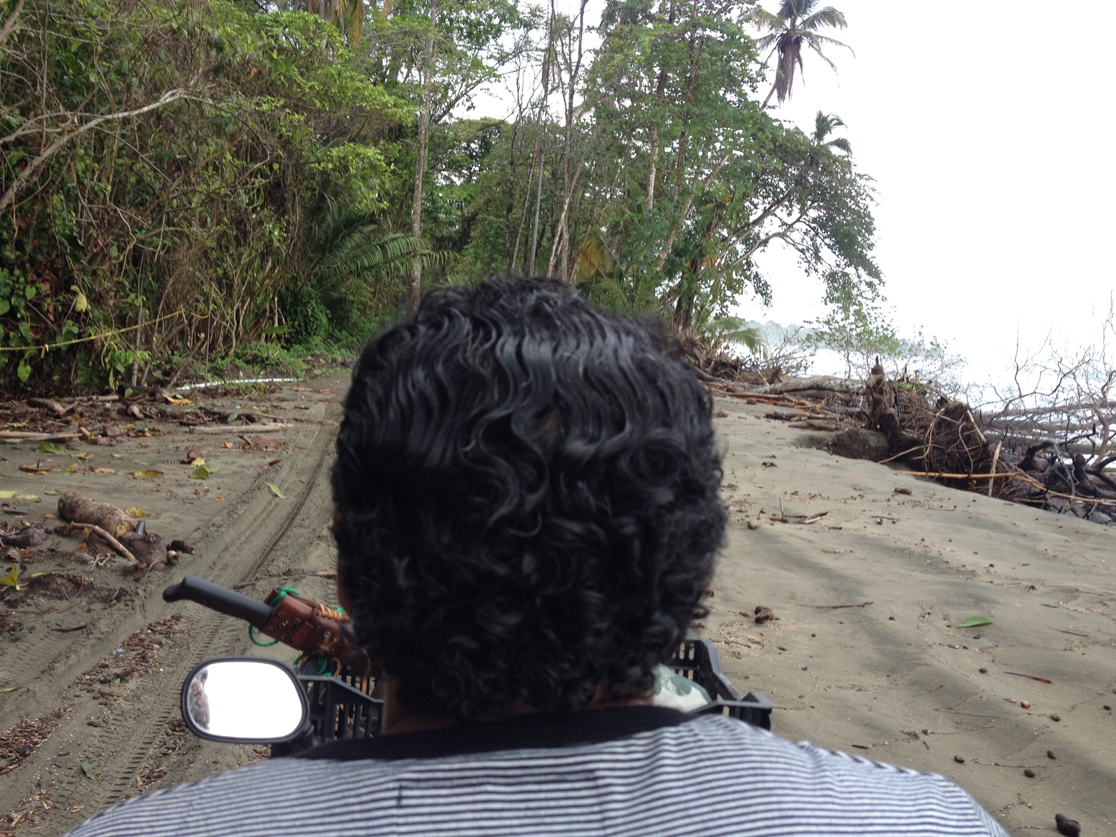 รูปถ่าย คอสตาริกา(Costa Rica) กาอุยตา(Cahuita) 2015-03 190