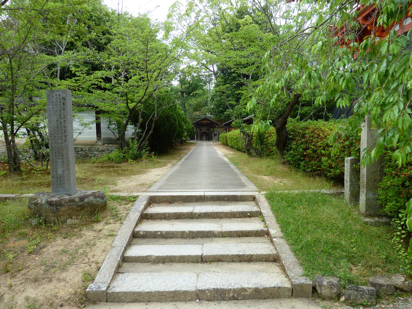 รูปถ่าย ญี่ปุ่น(Japan) เกียวโต(Kyoto) วัดนินนะจิ(Ninna ji Temple) 2010-06 8