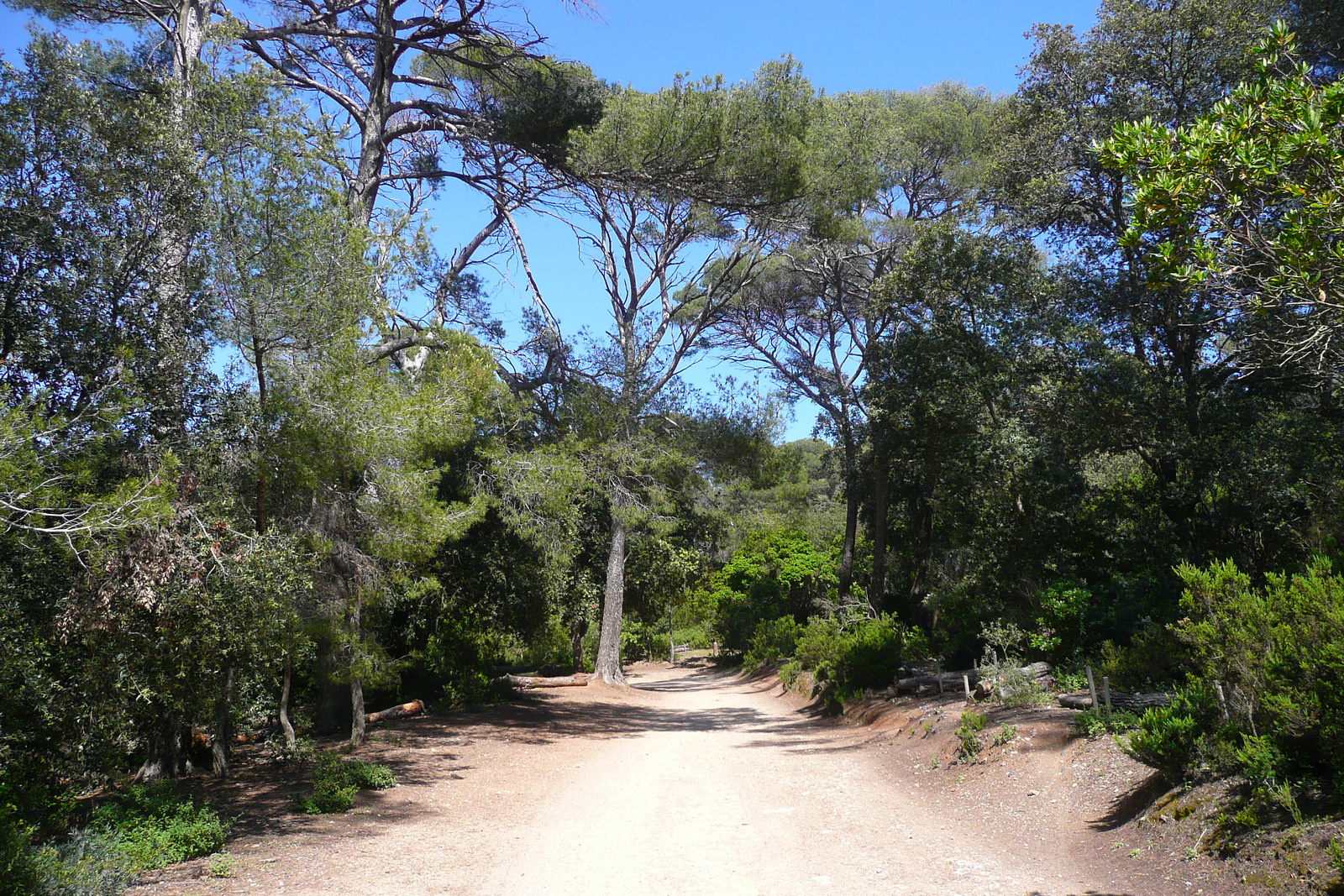 รูปถ่าย ฝรั่งเศส(France) เกาะปอร์เกอรอล(Porquerolles Island) ที่ราบกูร์ตาด(Plaine de la courtade) 2008-05 37