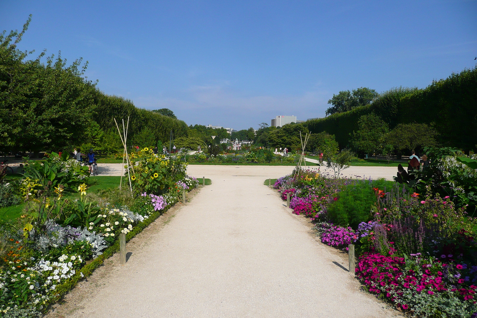รูปถ่าย ฝรั่งเศส(France) ปารีส(Paris) สวนพันธ์ุพืช(Jardin des Plantes) 2007-08 230