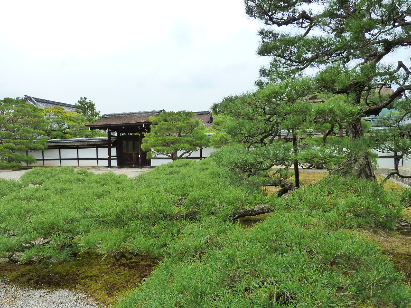 รูปถ่าย ญี่ปุ่น(Japan) เกียวโต(Kyoto) ตำหนักหลวงวัดนินนะจิ(Ninna ji imperial Residence) 2010-06 75