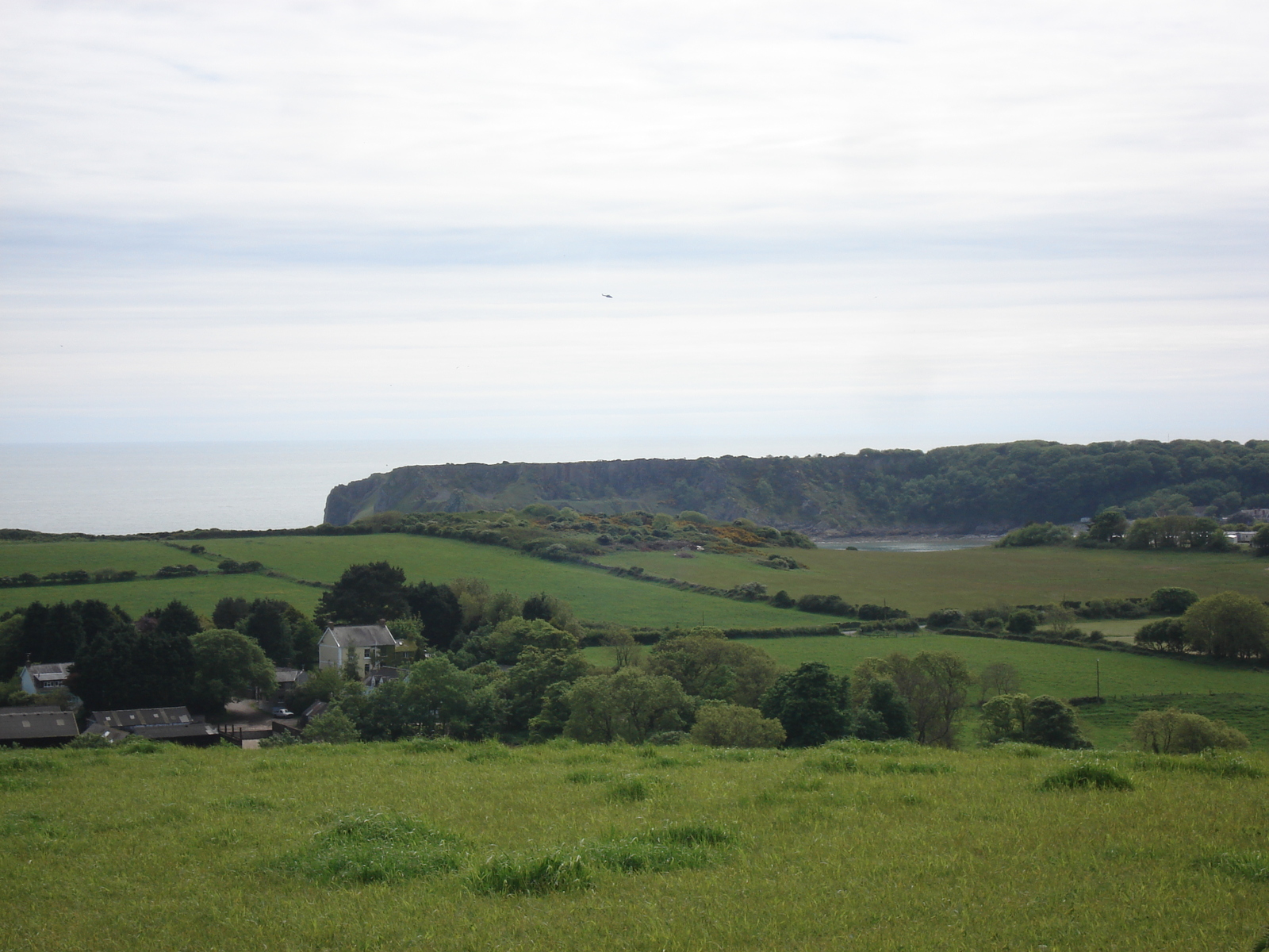 รูปถ่าย อังกฤษ(United Kingdom) เปมโบรคเชอร์(Pembrokeshire) 2006-05 41