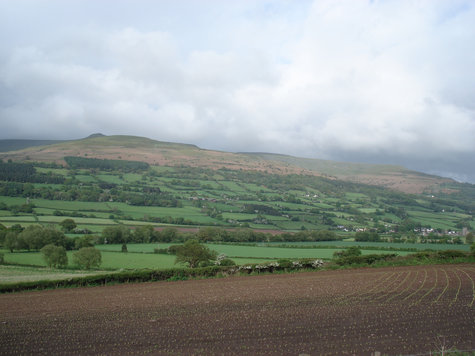 รูปถ่าย อังกฤษ(United Kingdom) อุทยานแห่งชาติเบรคอนบีคอนส์(Brecon Beacons National Park) 2006-05 67