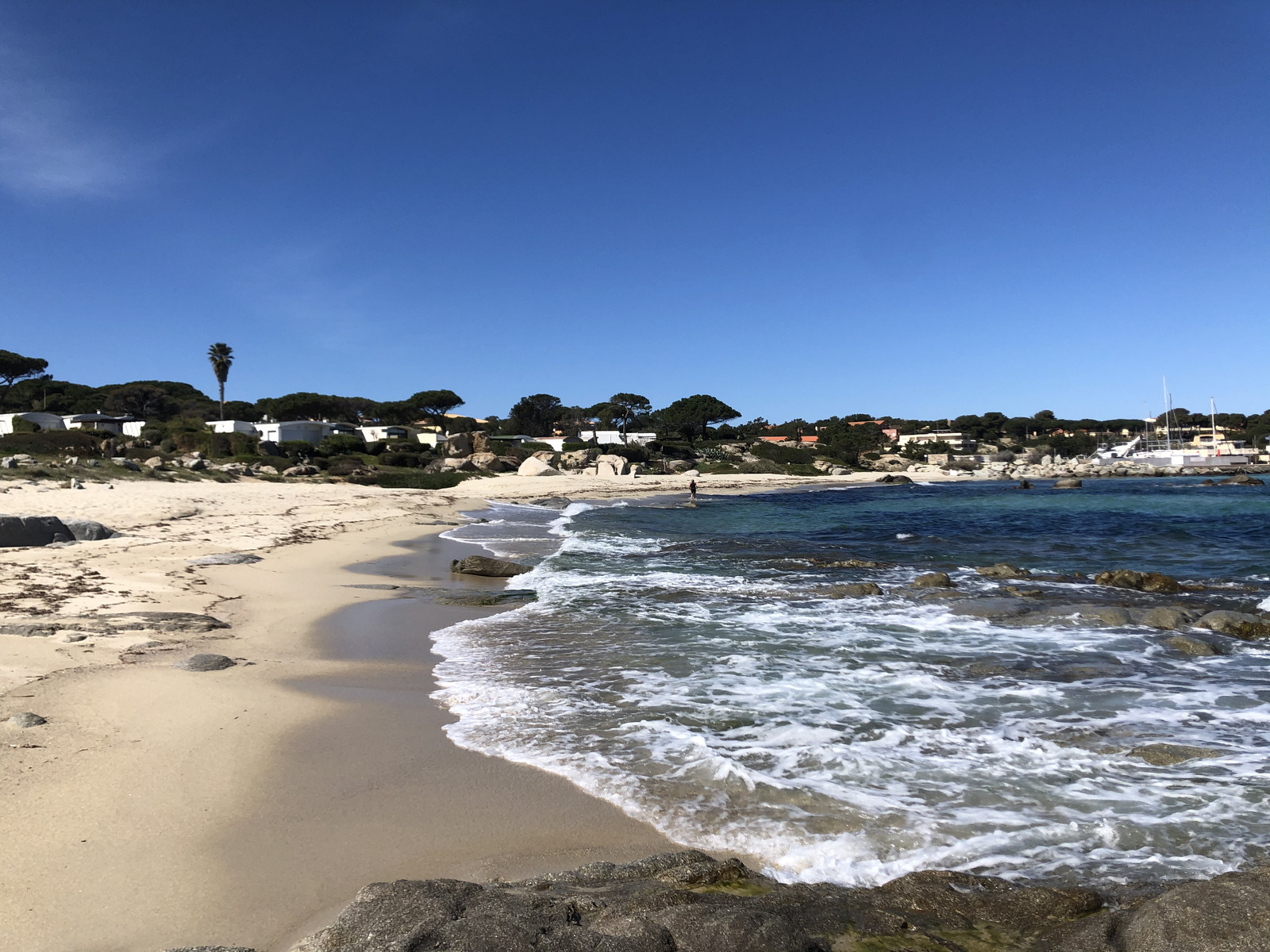 รูปถ่าย ฝรั่งเศส(France) คอร์สิคา(Corsica) 2021-05 38