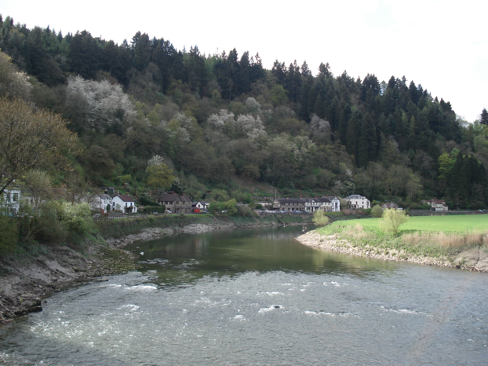 รูปถ่าย อังกฤษ(United Kingdom) ทินเทิร์น(Tintern) 2006-05 33