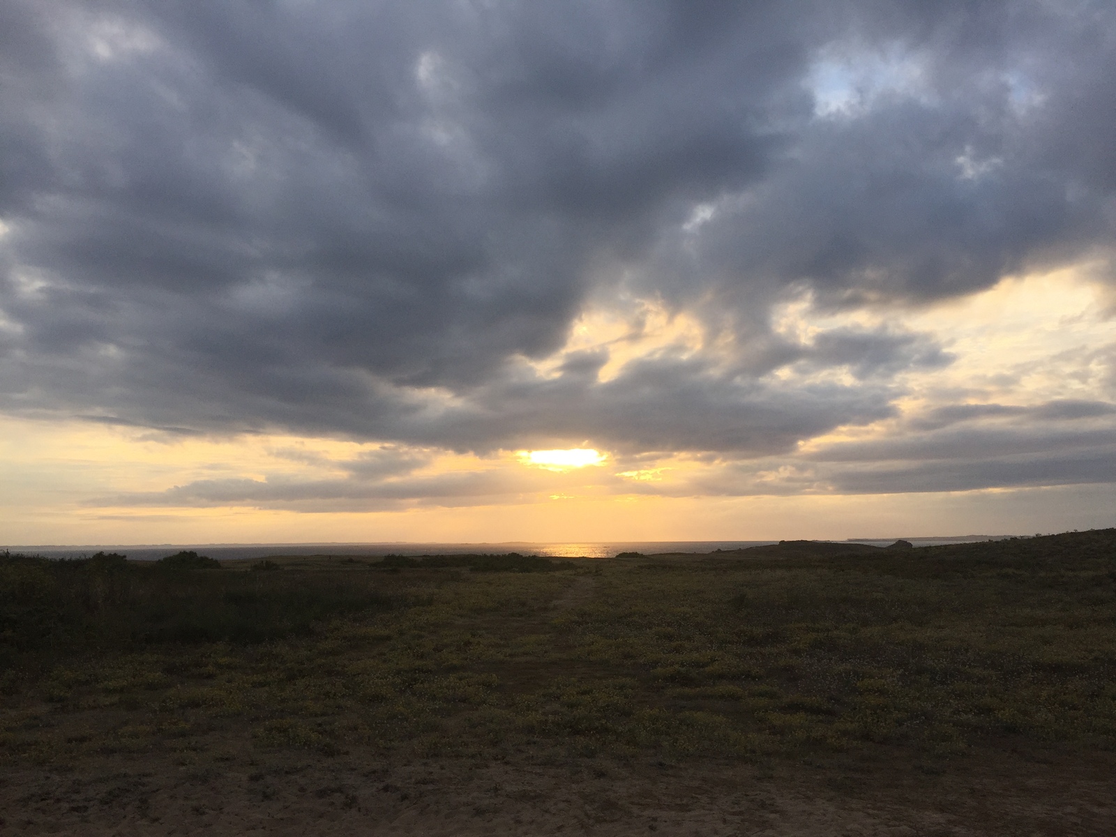 รูปถ่าย ฝรั่งเศส(France) เกาะเอดิก(Hoedic) 2016-08 68