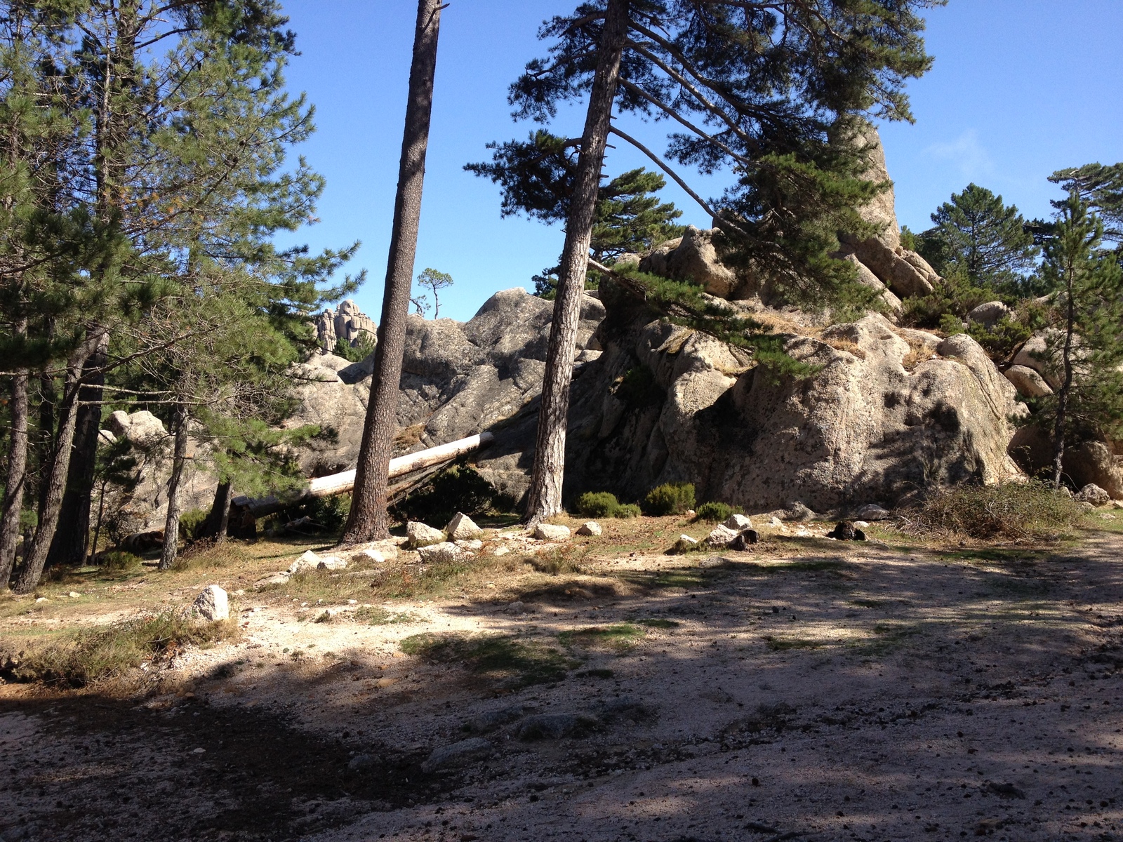 รูปถ่าย ฝรั่งเศส(France) คอร์สิคา(Corsica) ป่าลอสเปดาเล(L'ospedale Forest) 2012-09 37
