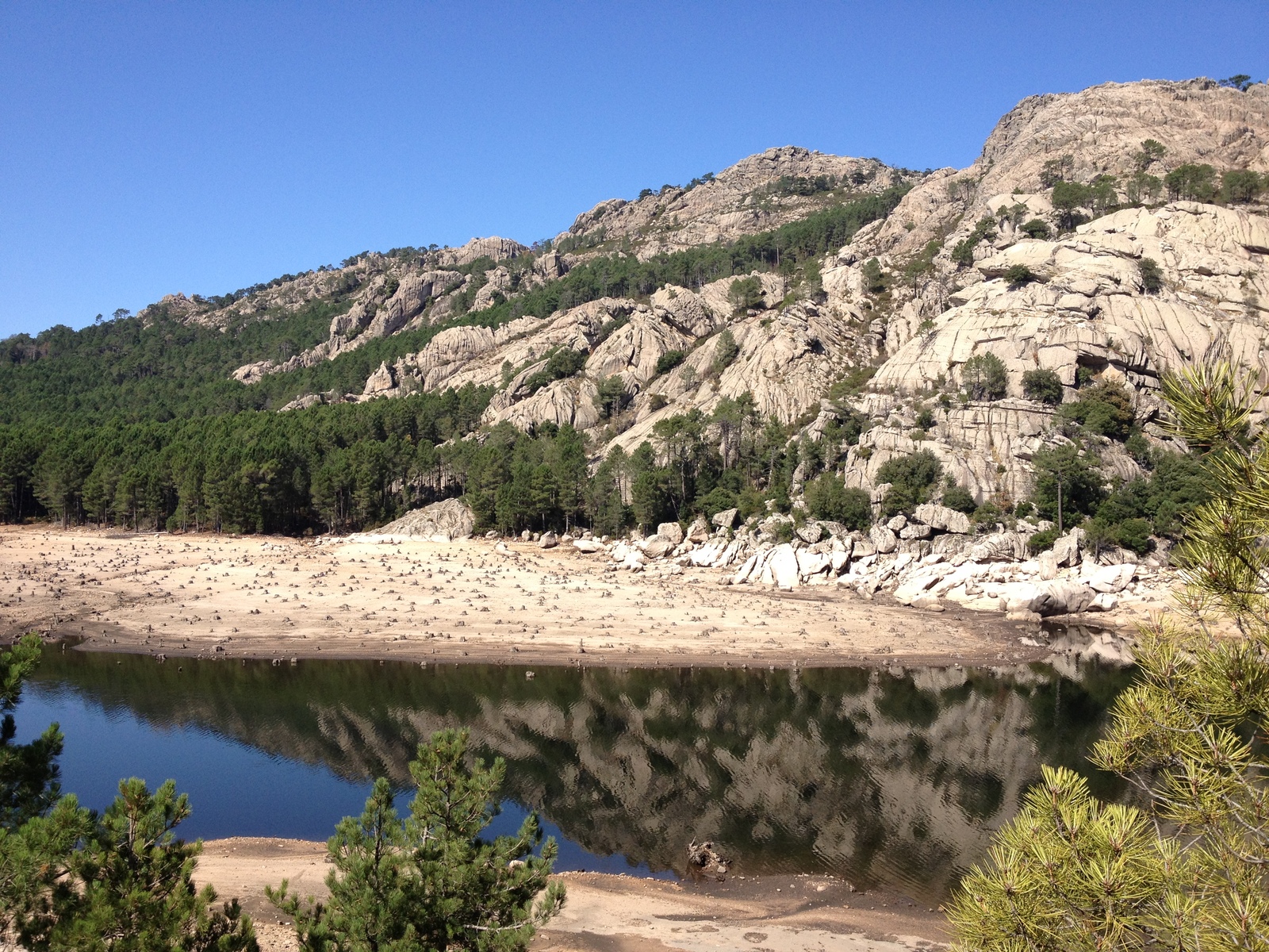 รูปถ่าย ฝรั่งเศส(France) คอร์สิคา(Corsica) ป่าลอสเปดาเล(L'ospedale Forest) 2012-09 49