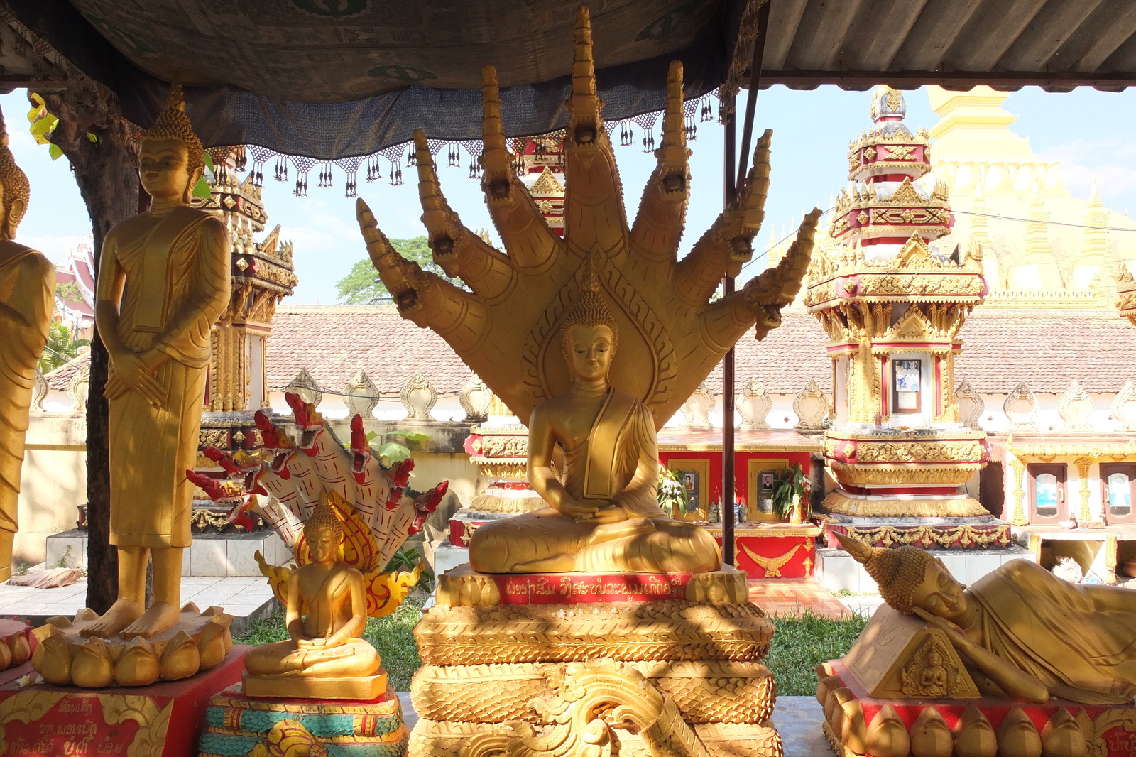 รูปถ่าย ลาว(Laos) เวียงจันทน์(Vientiane) 2012-12 330