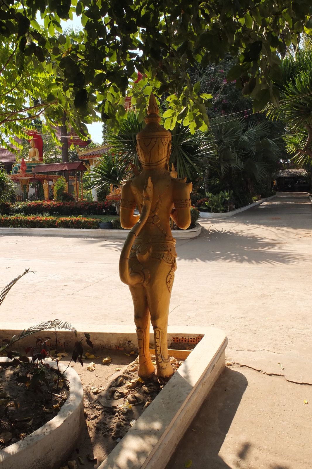 รูปถ่าย ลาว(Laos) เวียงจันทน์(Vientiane) 2012-12 284