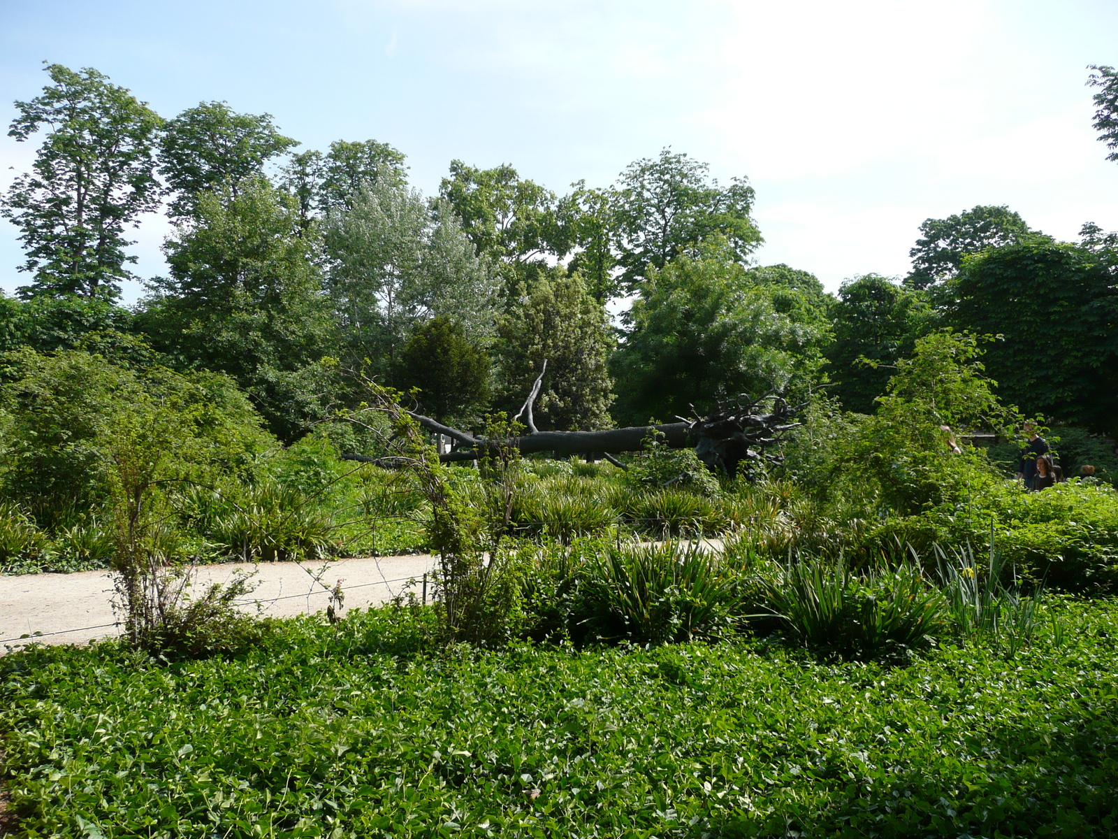 รูปถ่าย ฝรั่งเศส(France) ปารีส(Paris) สวนตุยเลอรี(Garden of Tuileries) 2007-05 10