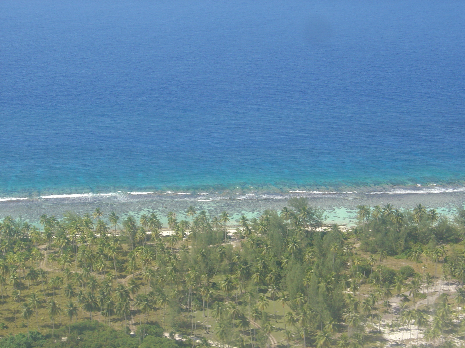 รูปถ่าย เฟรนช์โพลี่นีเซีย(Polynesia) มูเรีย(Moorea) 2006-04 85