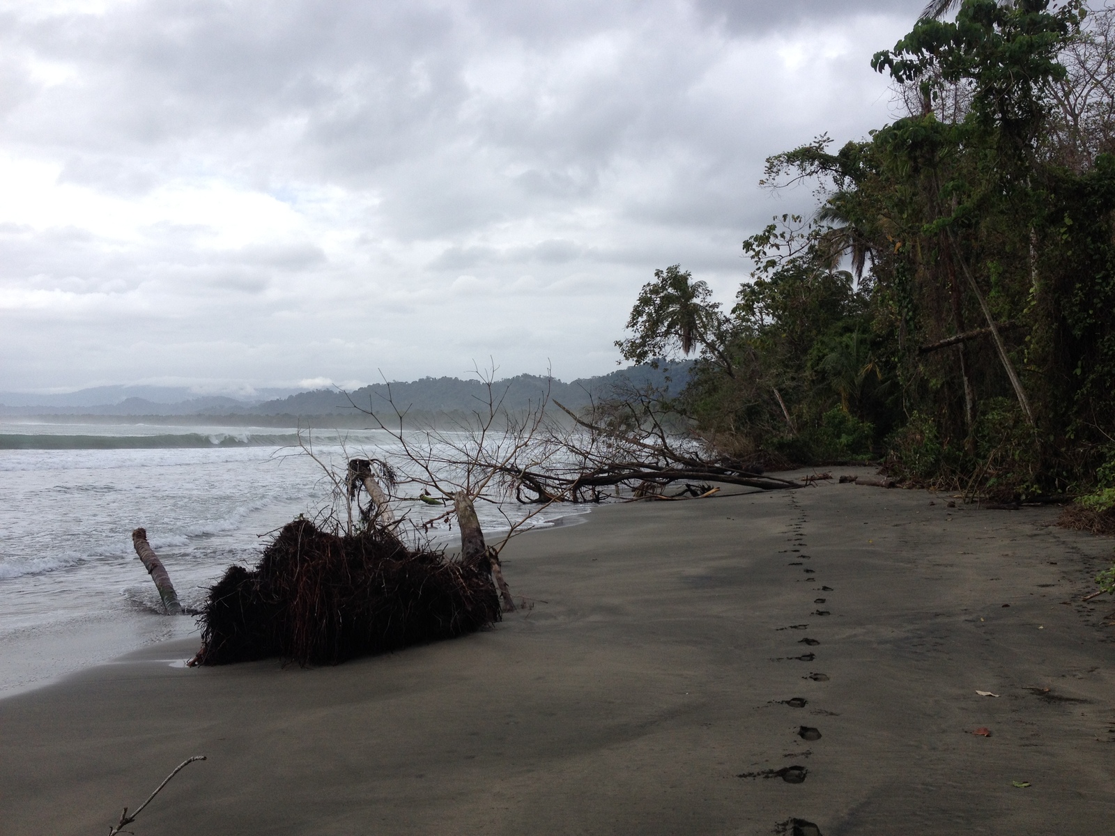 รูปถ่าย คอสตาริกา(Costa Rica) กาอุยตา(Cahuita) 2015-03 146