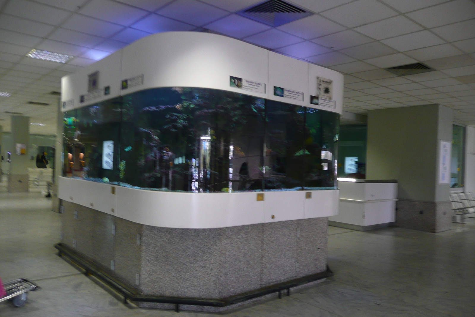 รูปถ่าย ฝรั่งเศส(France) ท่าอากาศยานนีซ(Nice Airport) 2008-04 6