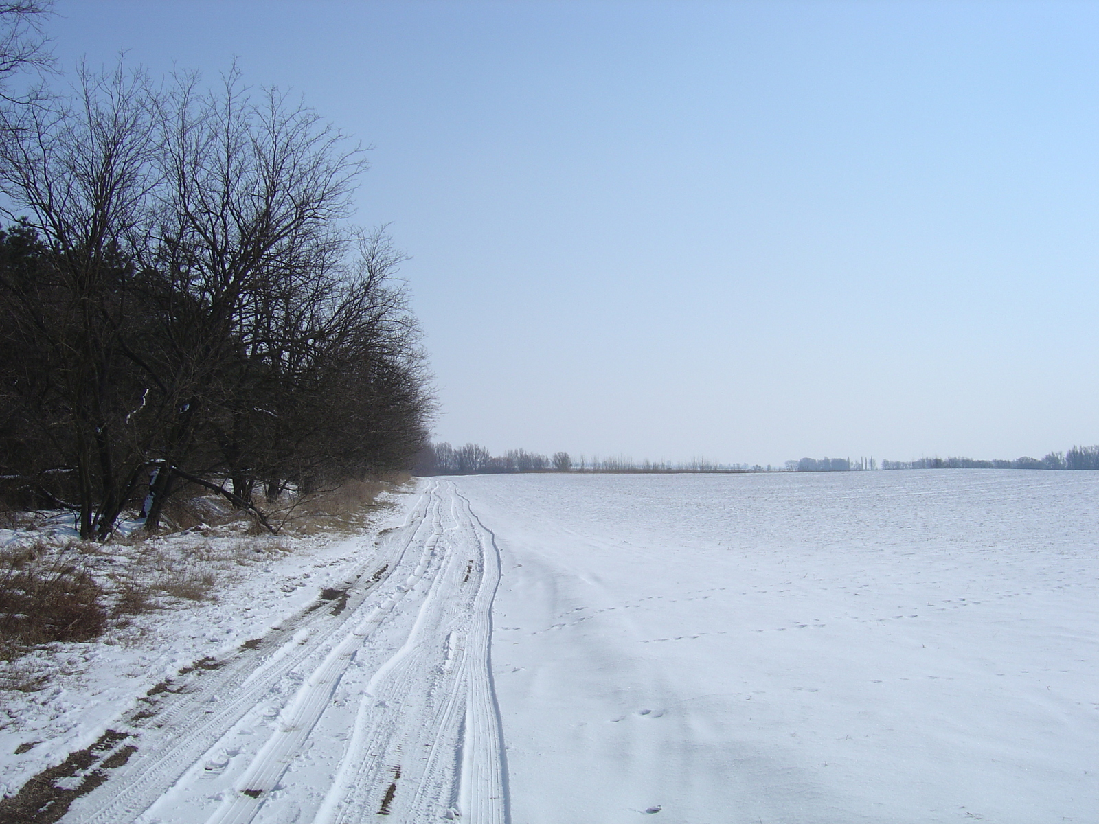 รูปถ่าย ฮังการี(Hungary) ถนนจากเปชไปบูดาเปสต์(Pecs to Budapest Road) 2005-03 7